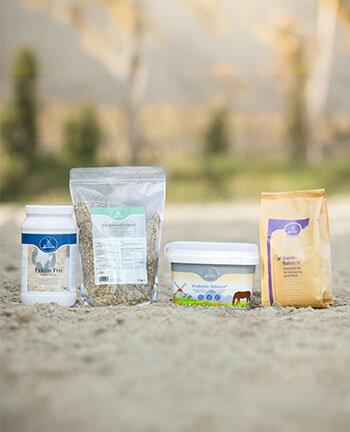 Digestion & M�tabolisme