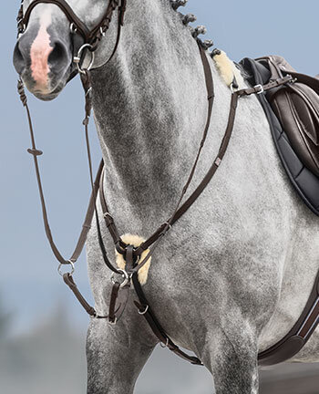 Colliers de chasse & martingales