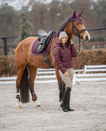 SHOWMASTER Basic