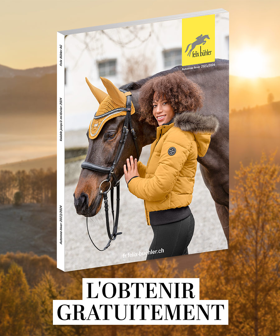 Felix Buehler Catalogue