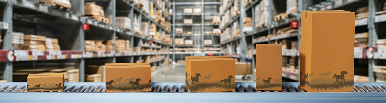 Logistique