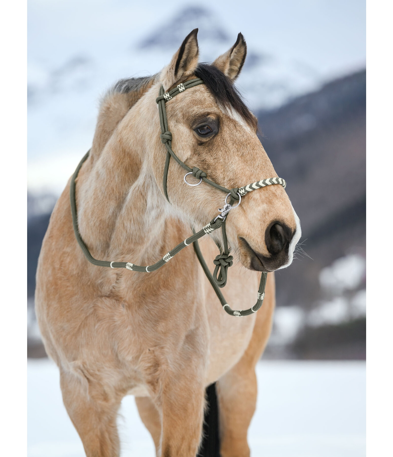 Licol de randonn�e 3 en 1