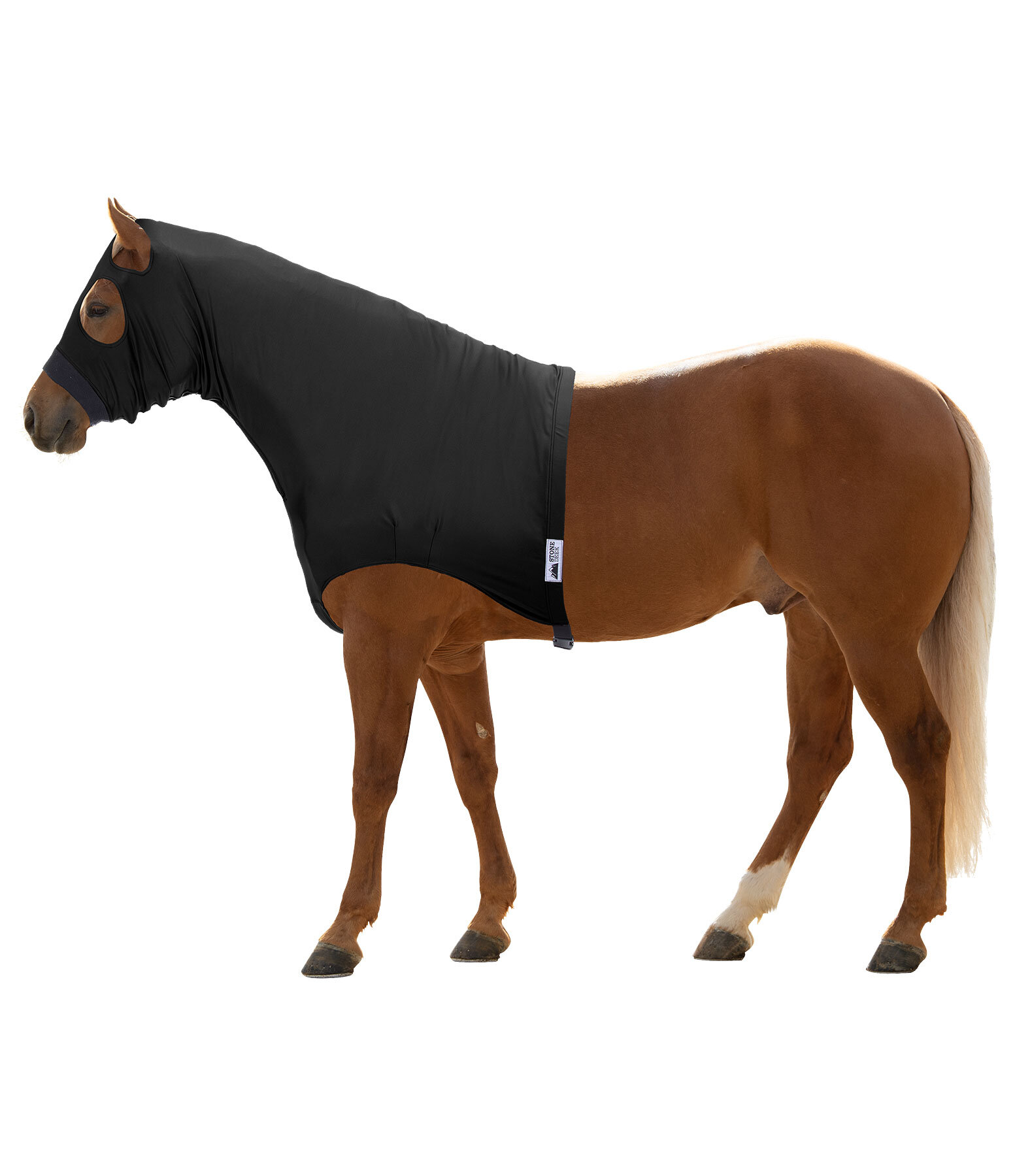 SLEAZY Sleepwear pour chevaux Cape Cheval Capuche SLEAZY Avec Fermeture Éclair Tailles Multiples 