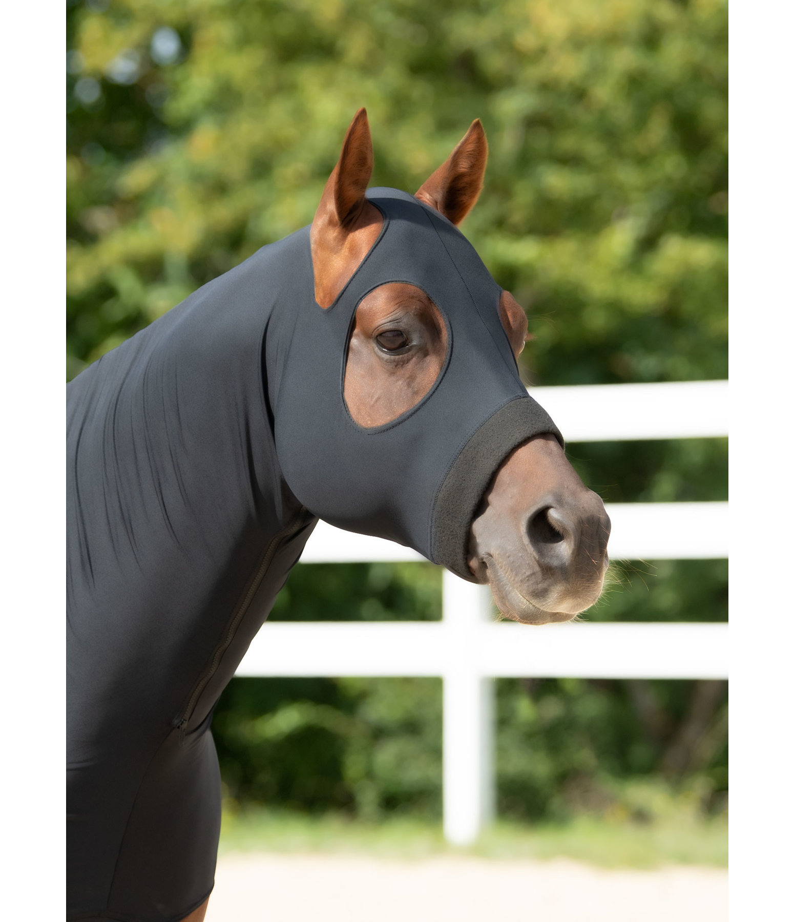 SLEAZY Sleepwear pour chevaux Cape Cheval Capuche SLEAZY Avec Fermeture Éclair Tailles Multiples 