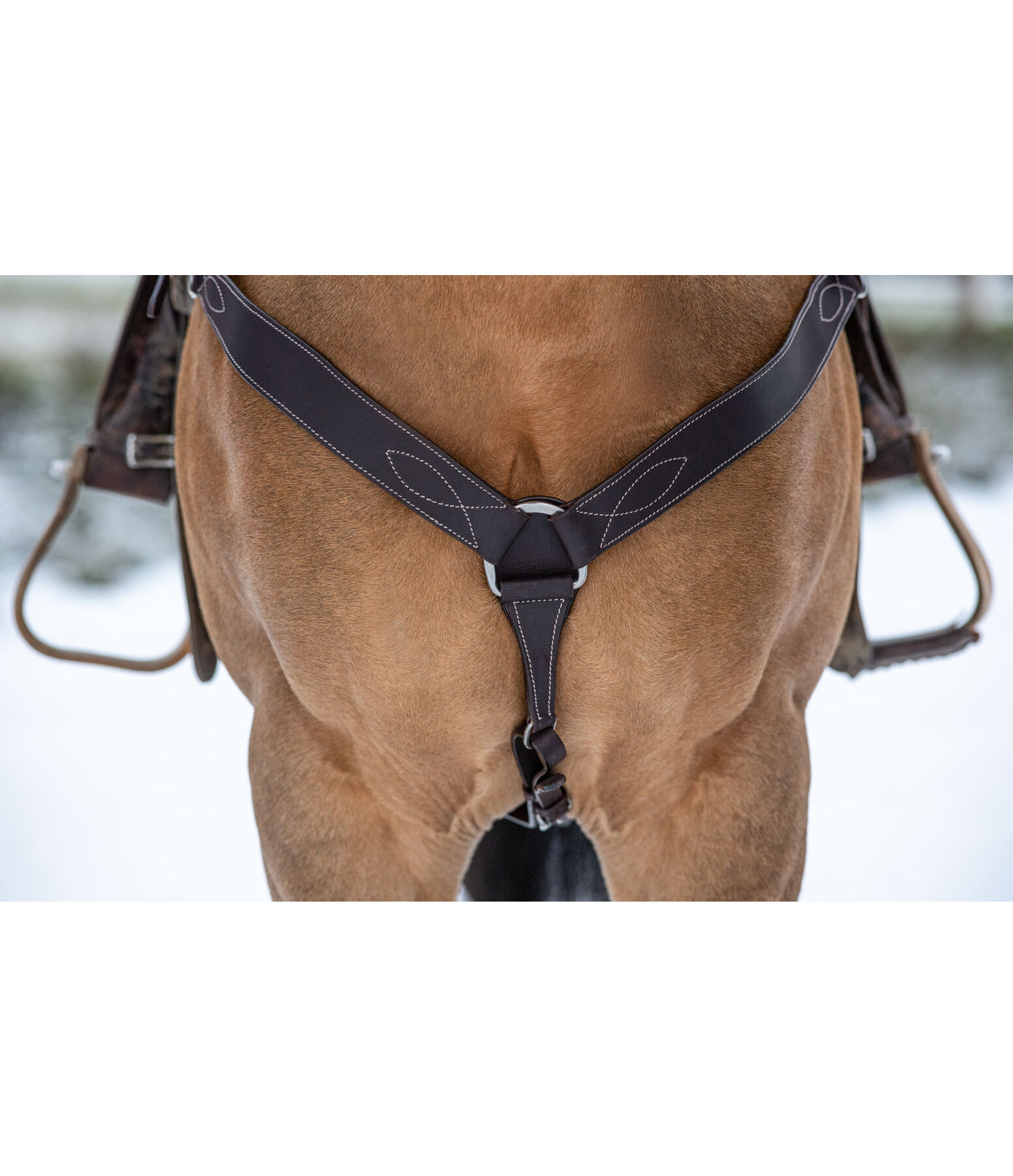 Collier de chasse western  Basic