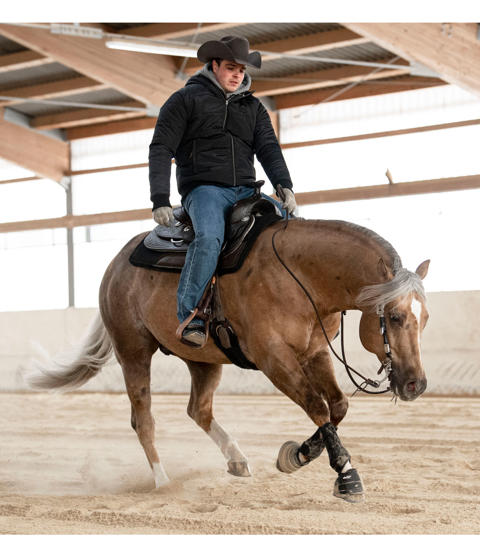 Veste d'hiver homme  Mason