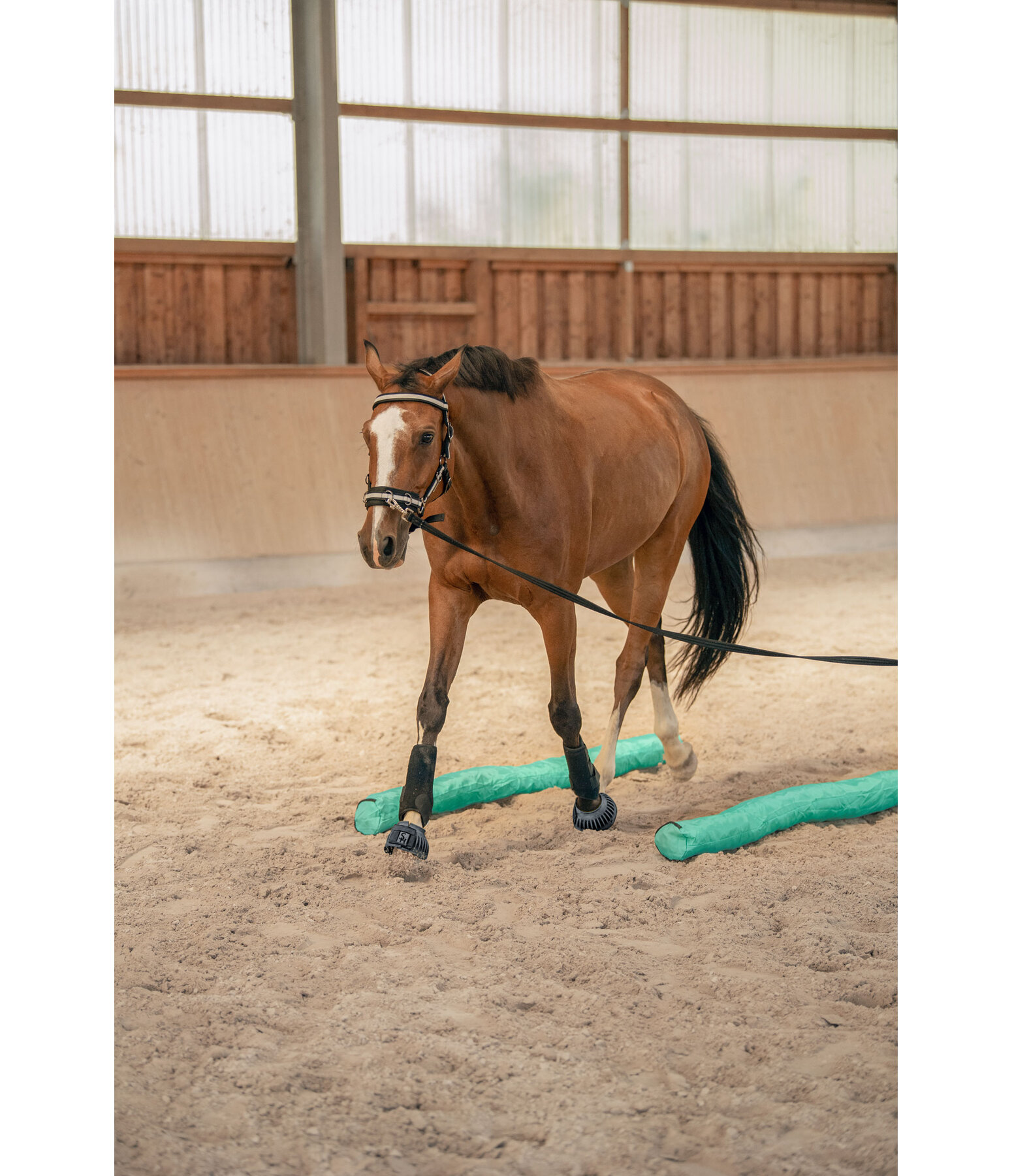 Barres multifonction