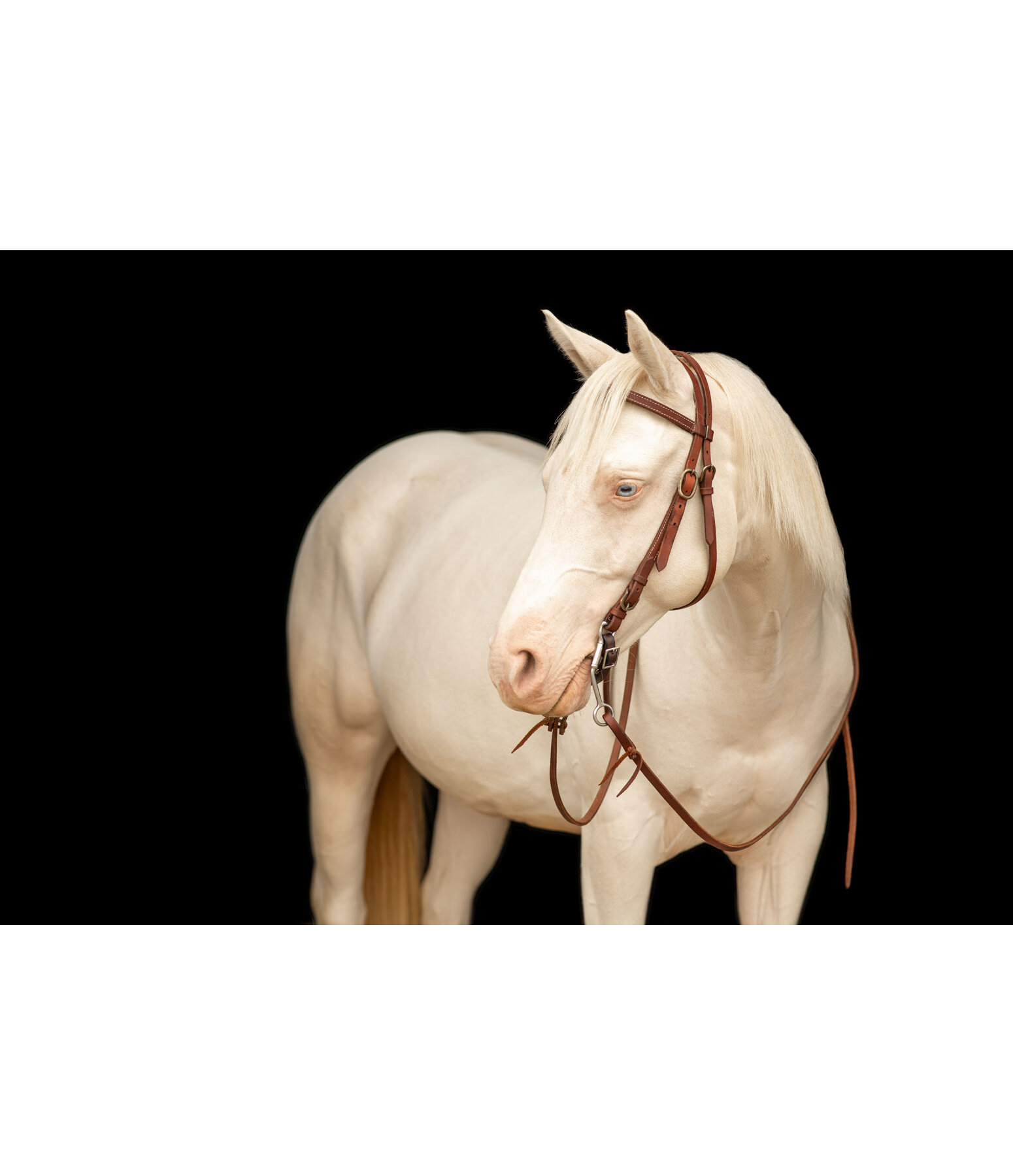 Bridon de travail western  Buckle End