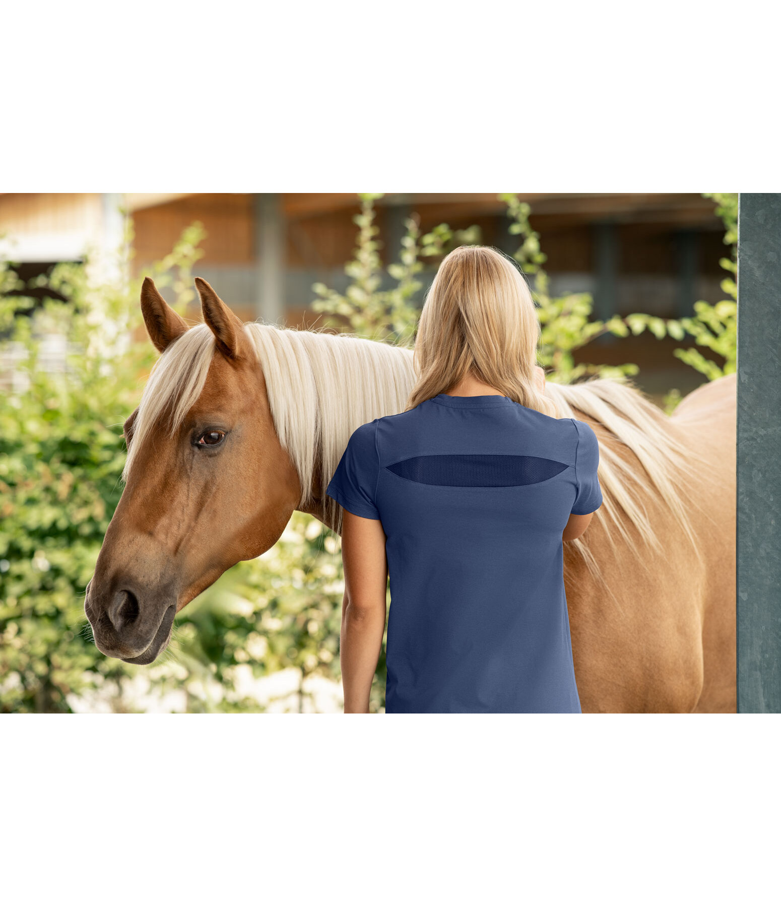 T-shirt technique  Amelia