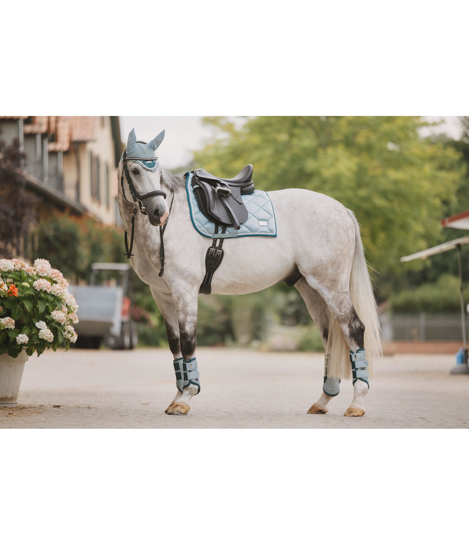 Tapis de selle  Swiss Design