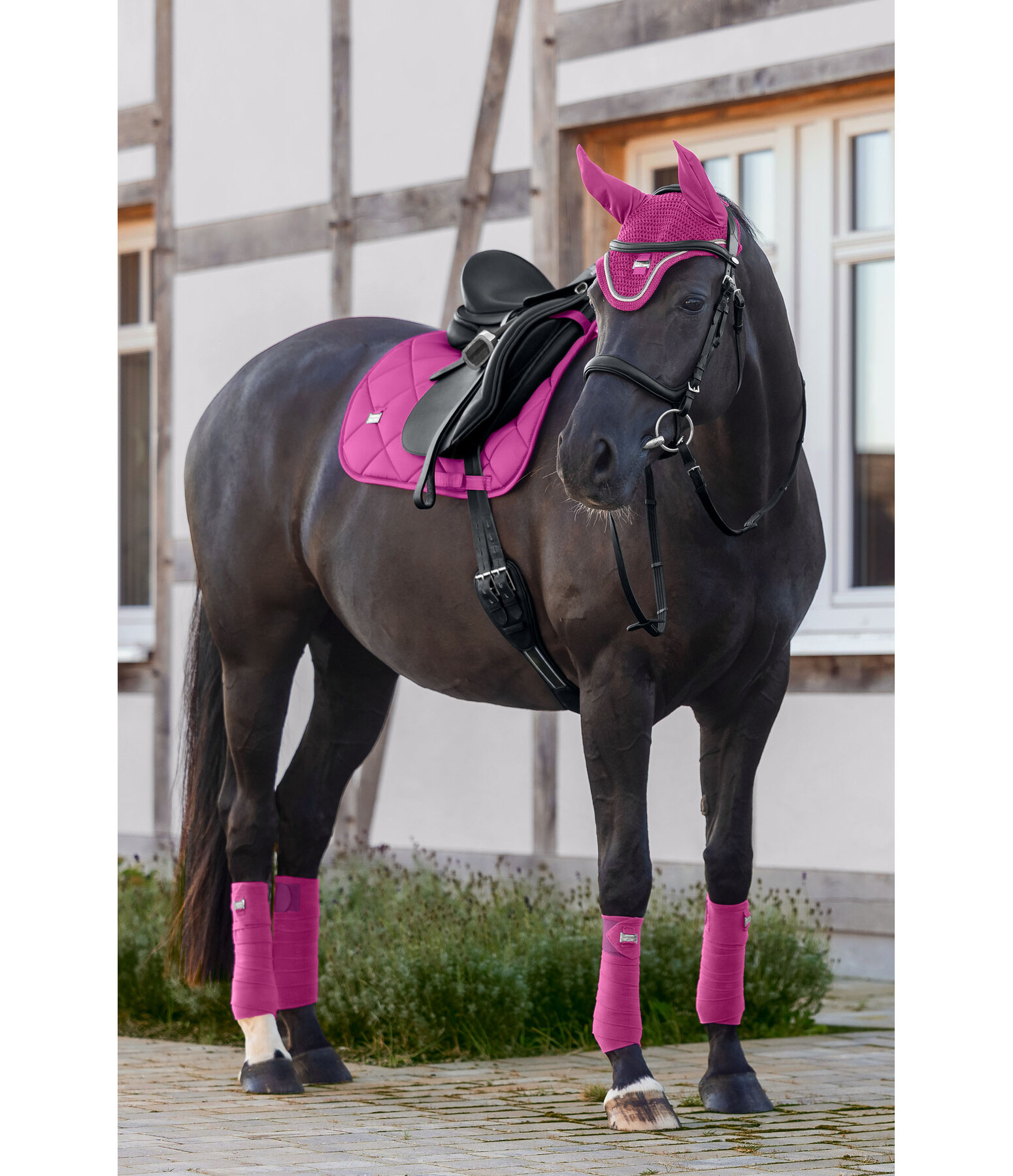 Tapis de selle  Essential Standard