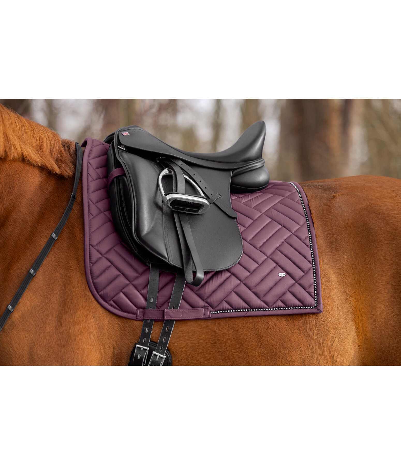 Tapis de selle  Brilliant