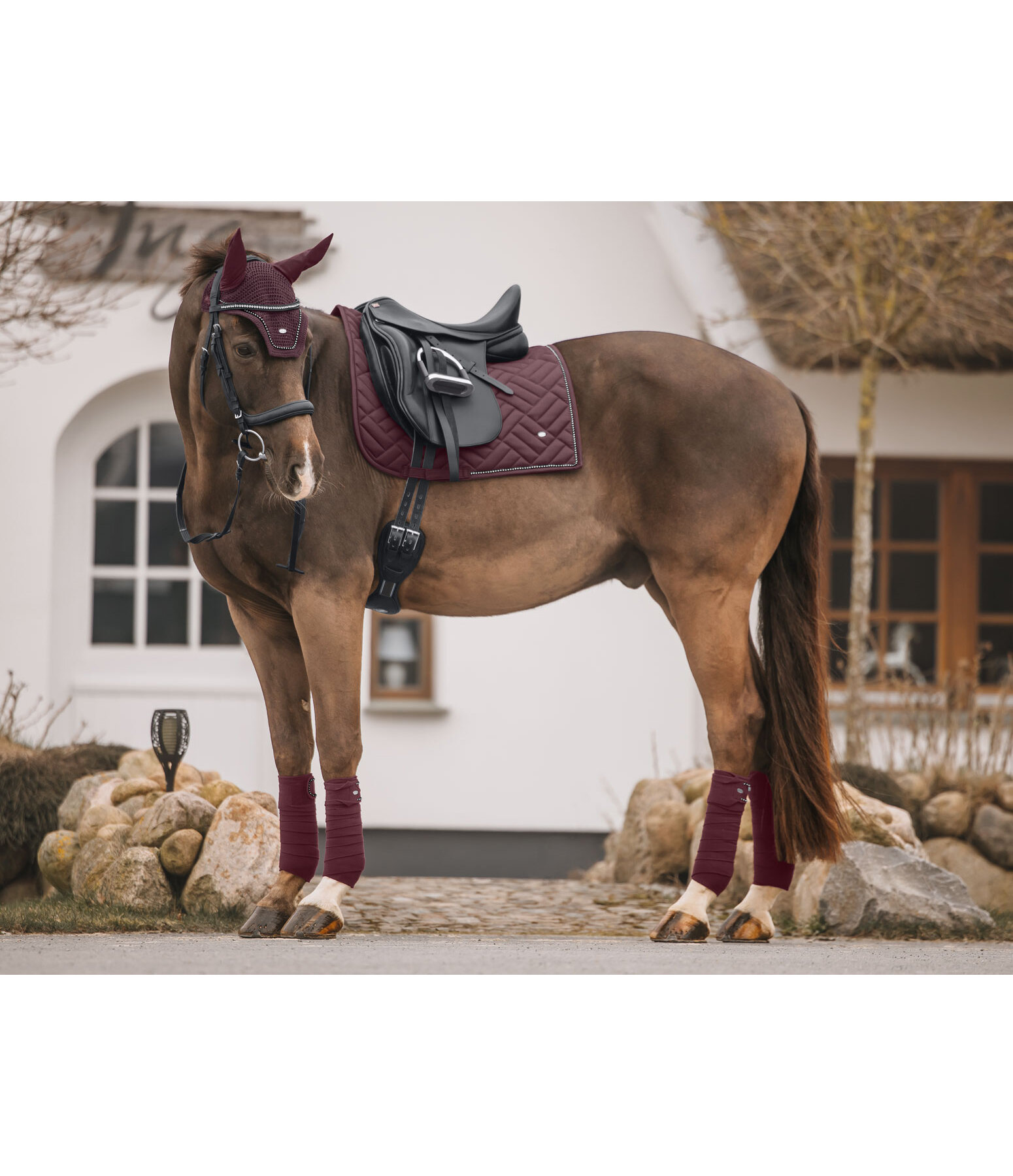 Tapis de selle  Brilliant