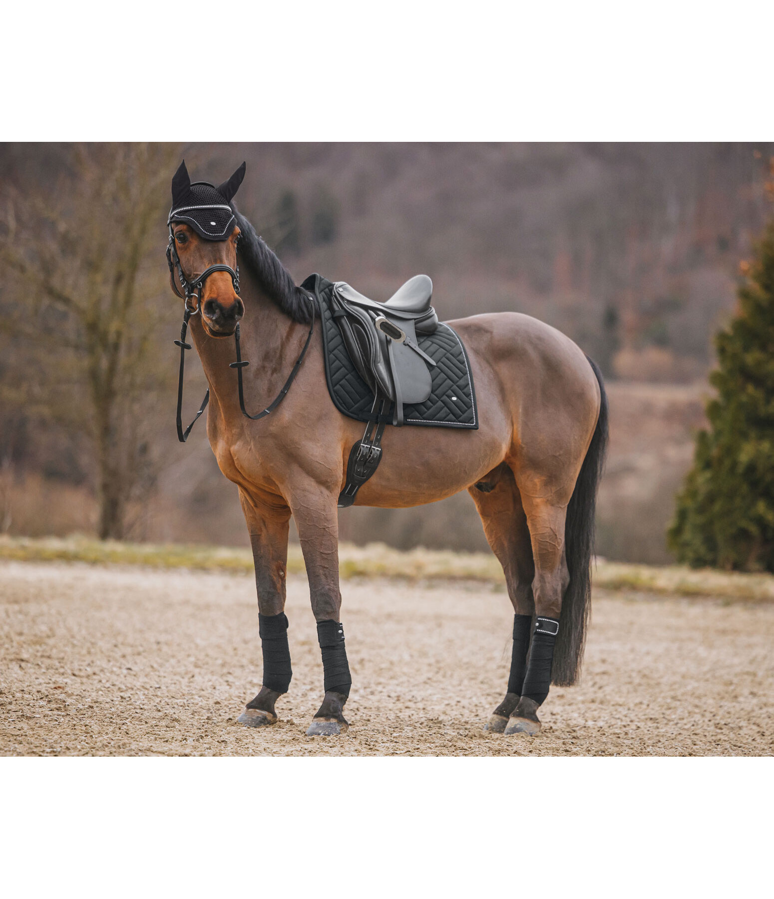 Tapis de selle  Brilliant
