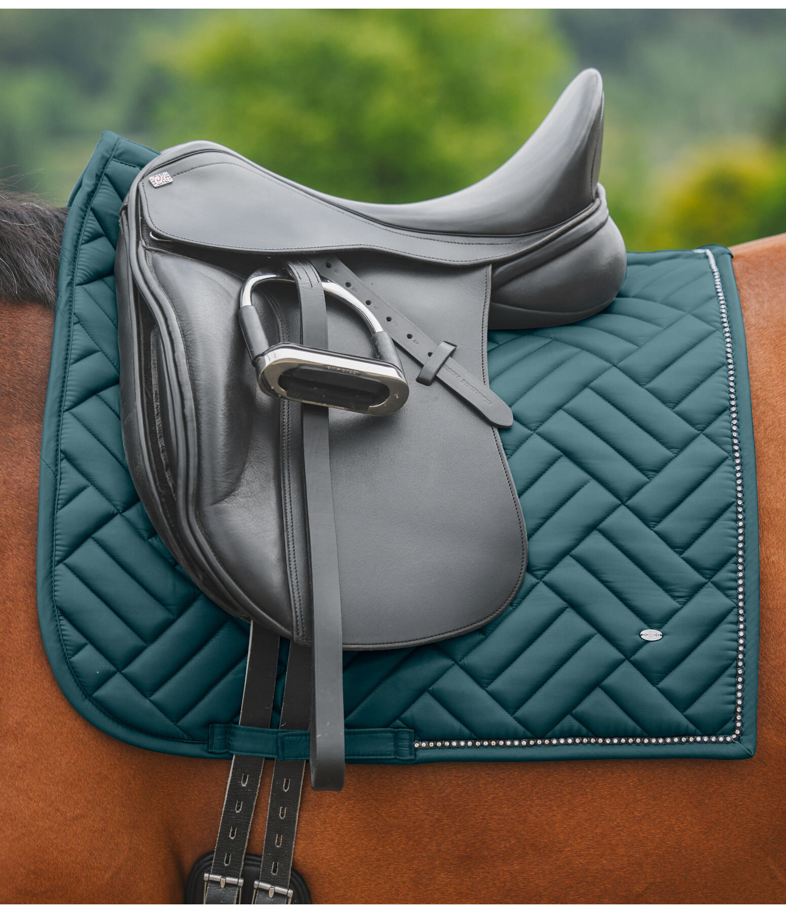 Tapis de selle  Brilliant
