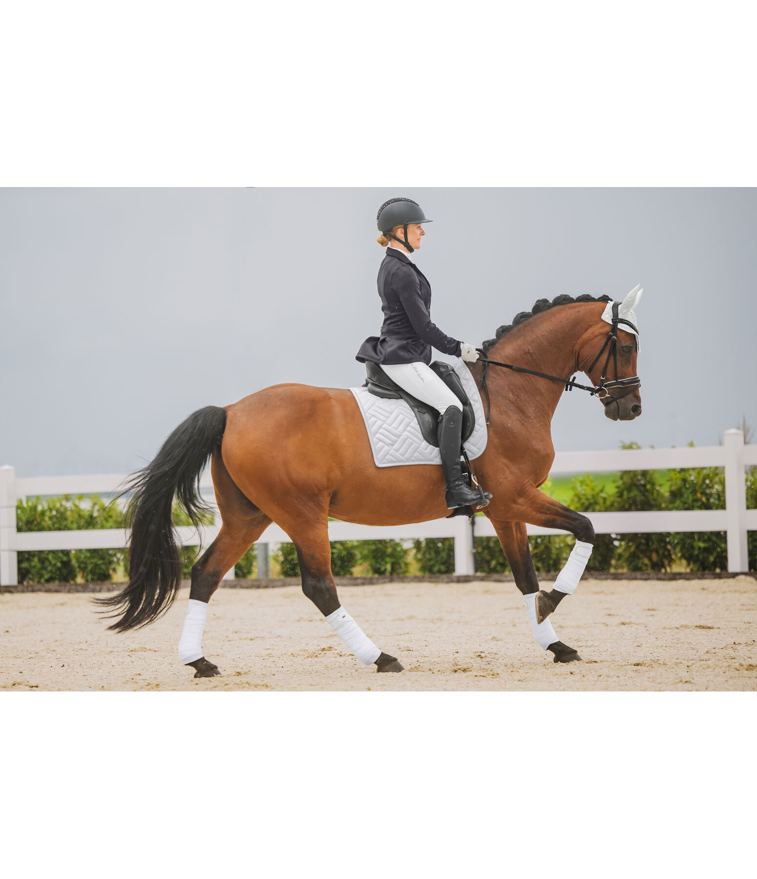 Tapis de selle  Brilliant