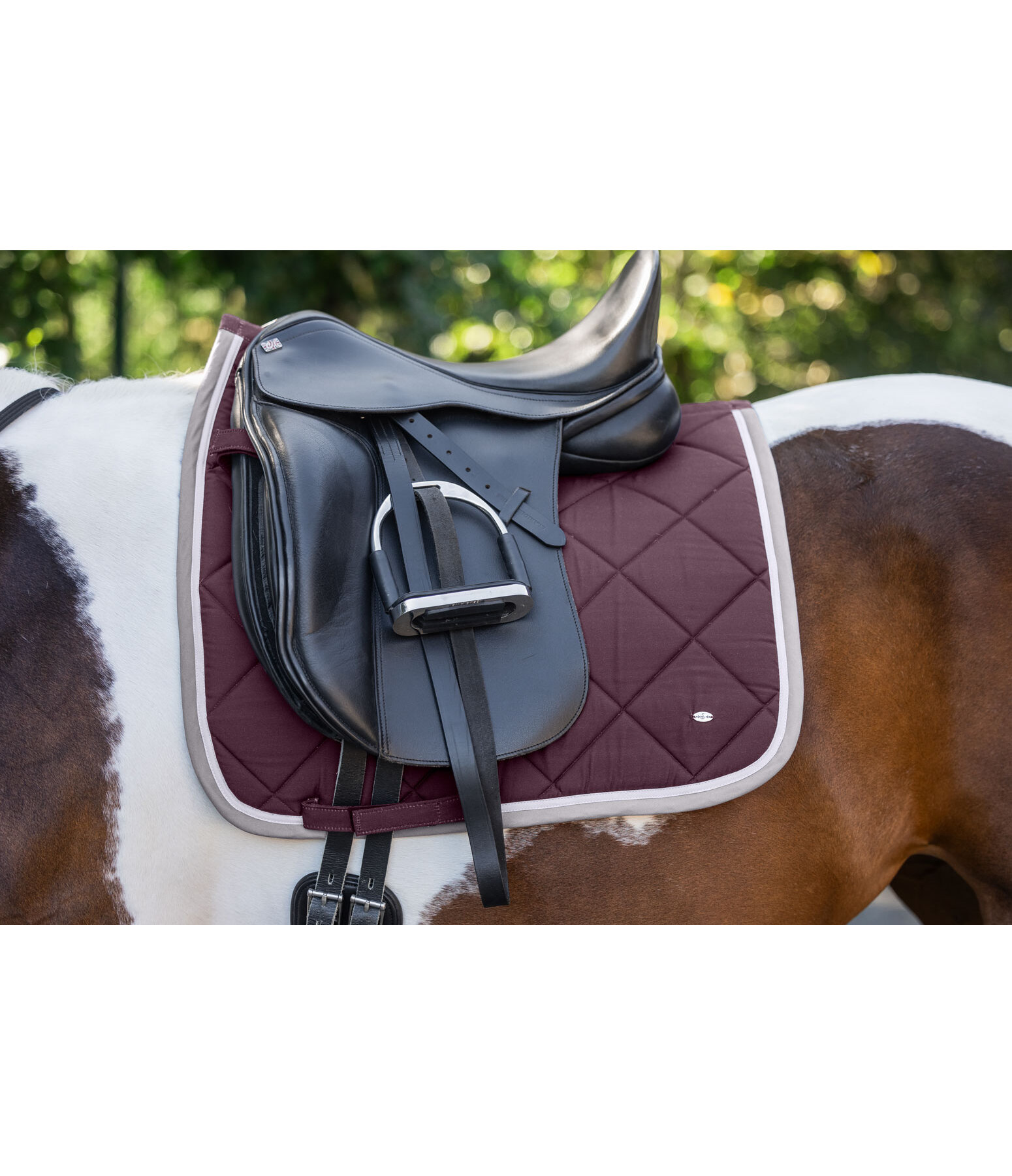 Tapis de selle  Primary