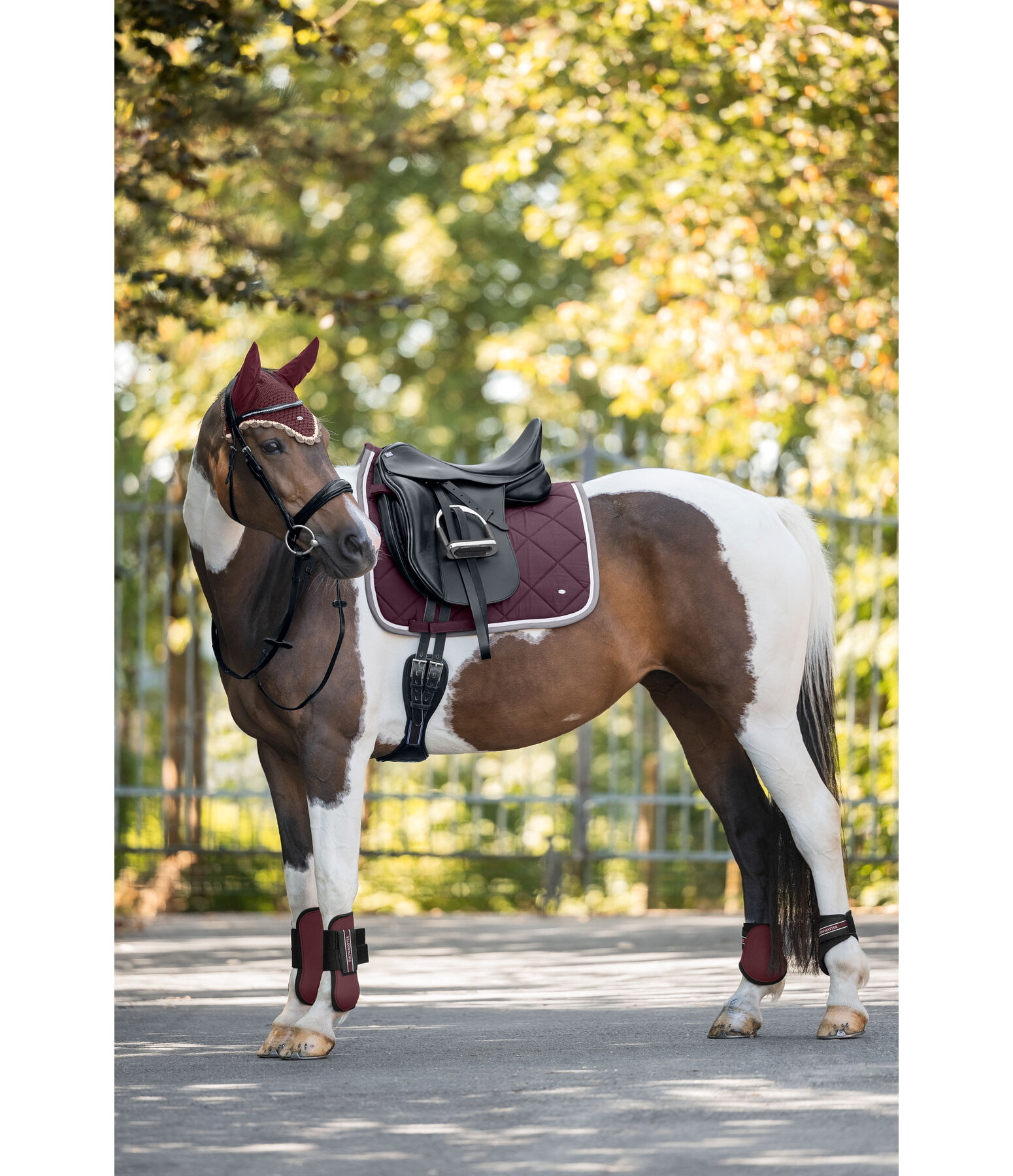 Tapis de selle  Primary