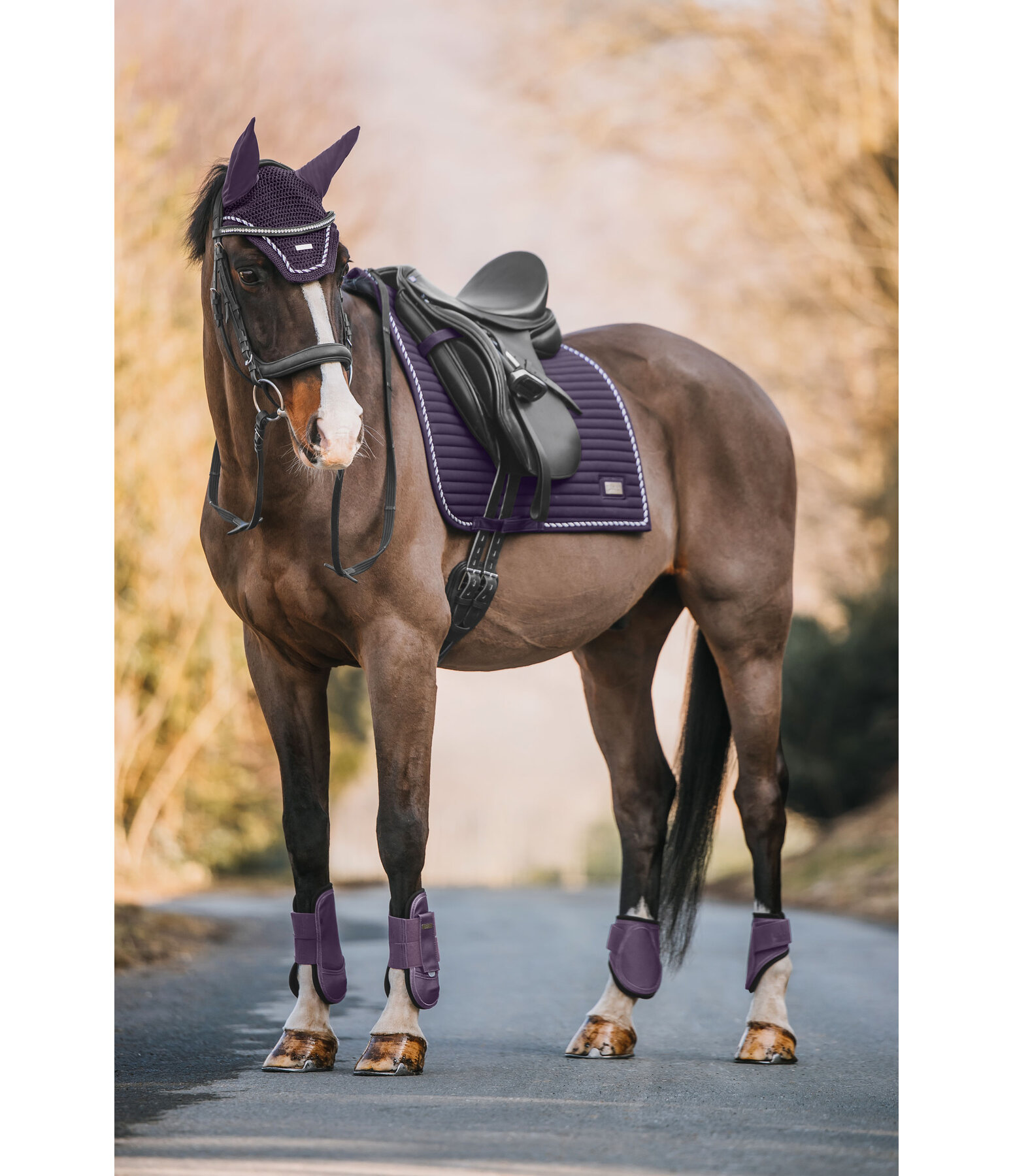 Tapis de selle  Sophistication avec contre-sanglons