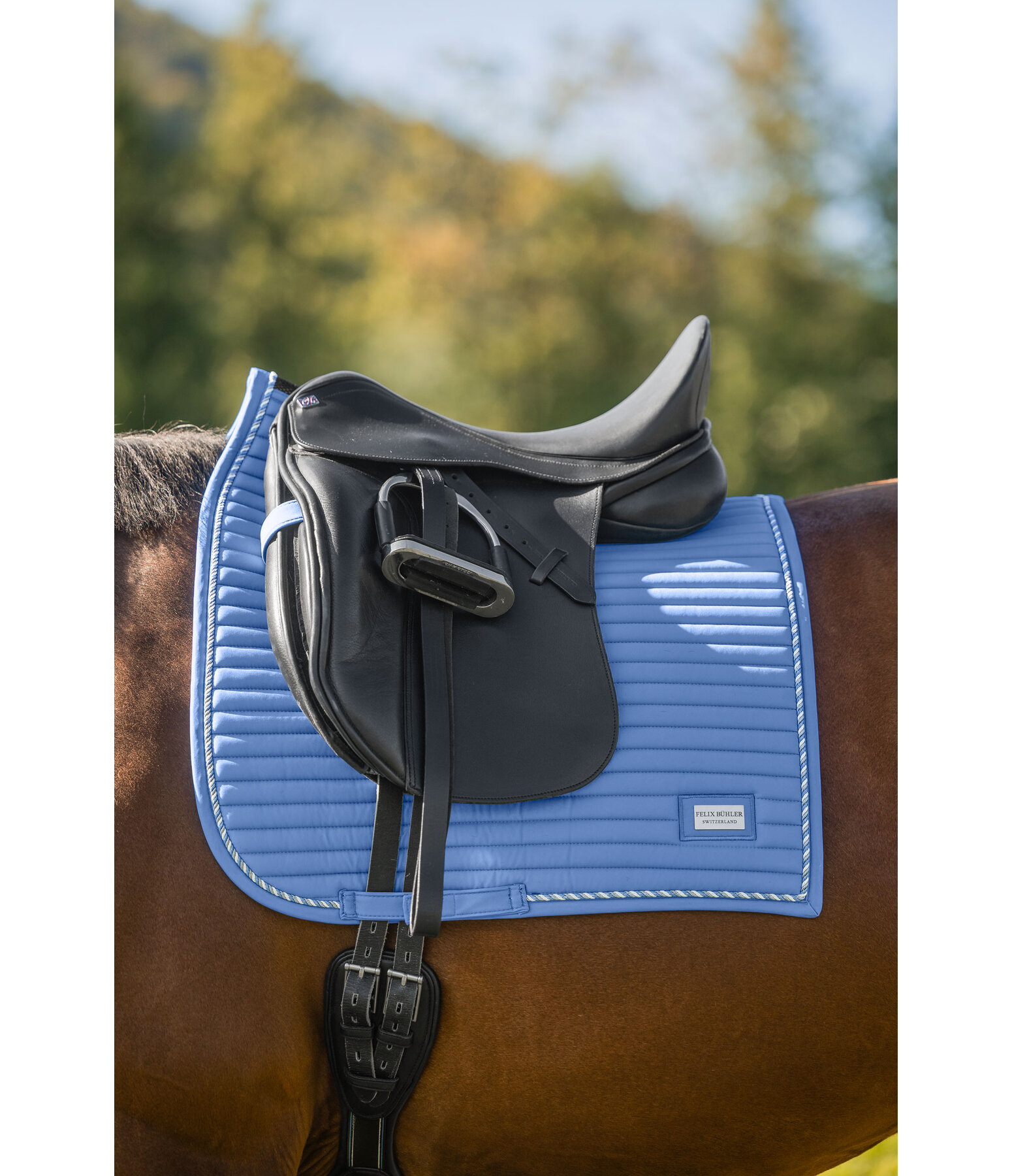 Tapis de selle  Sophistication avec contre-sanglons