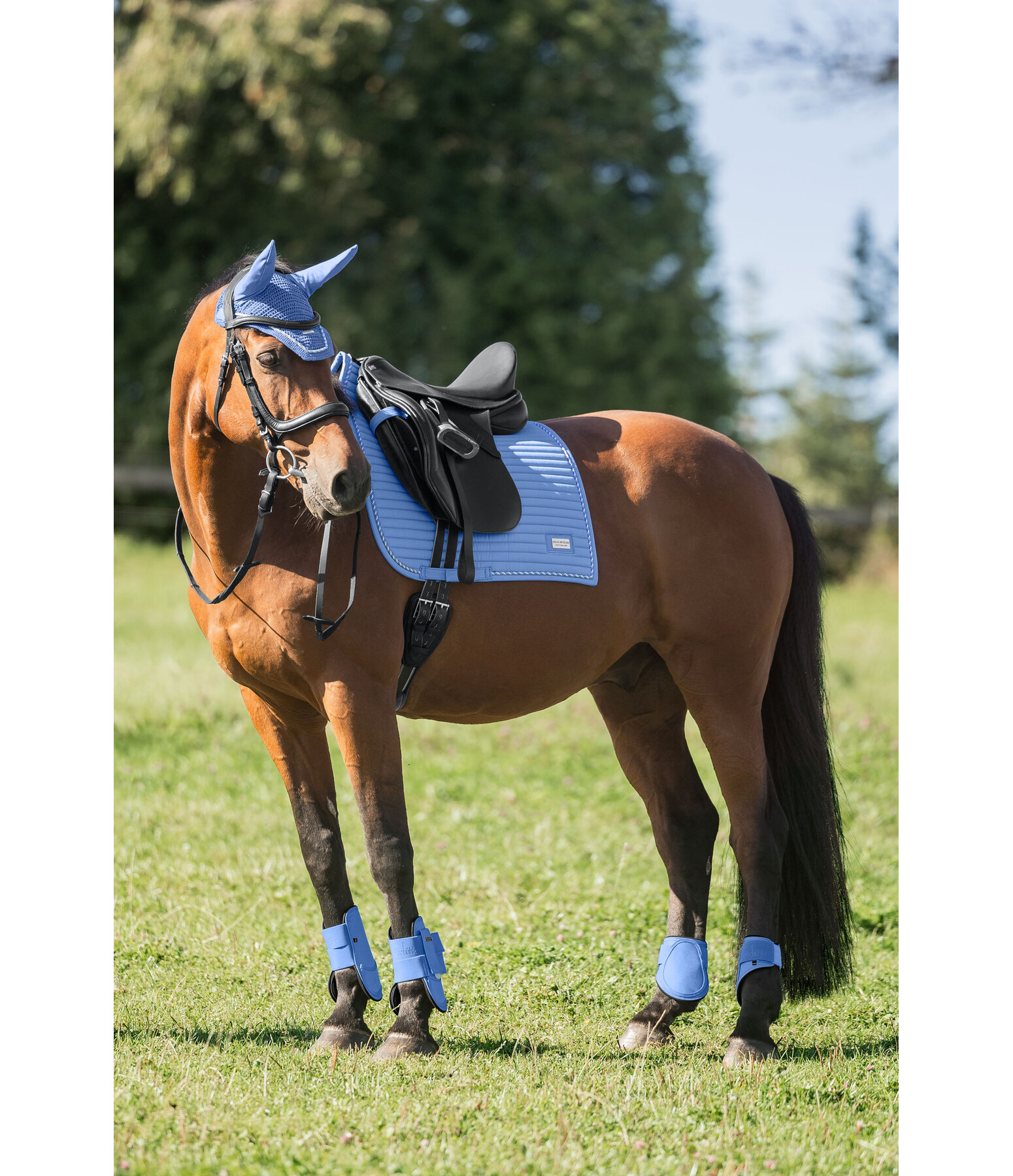 Tapis de selle  Sophistication avec contre-sanglons