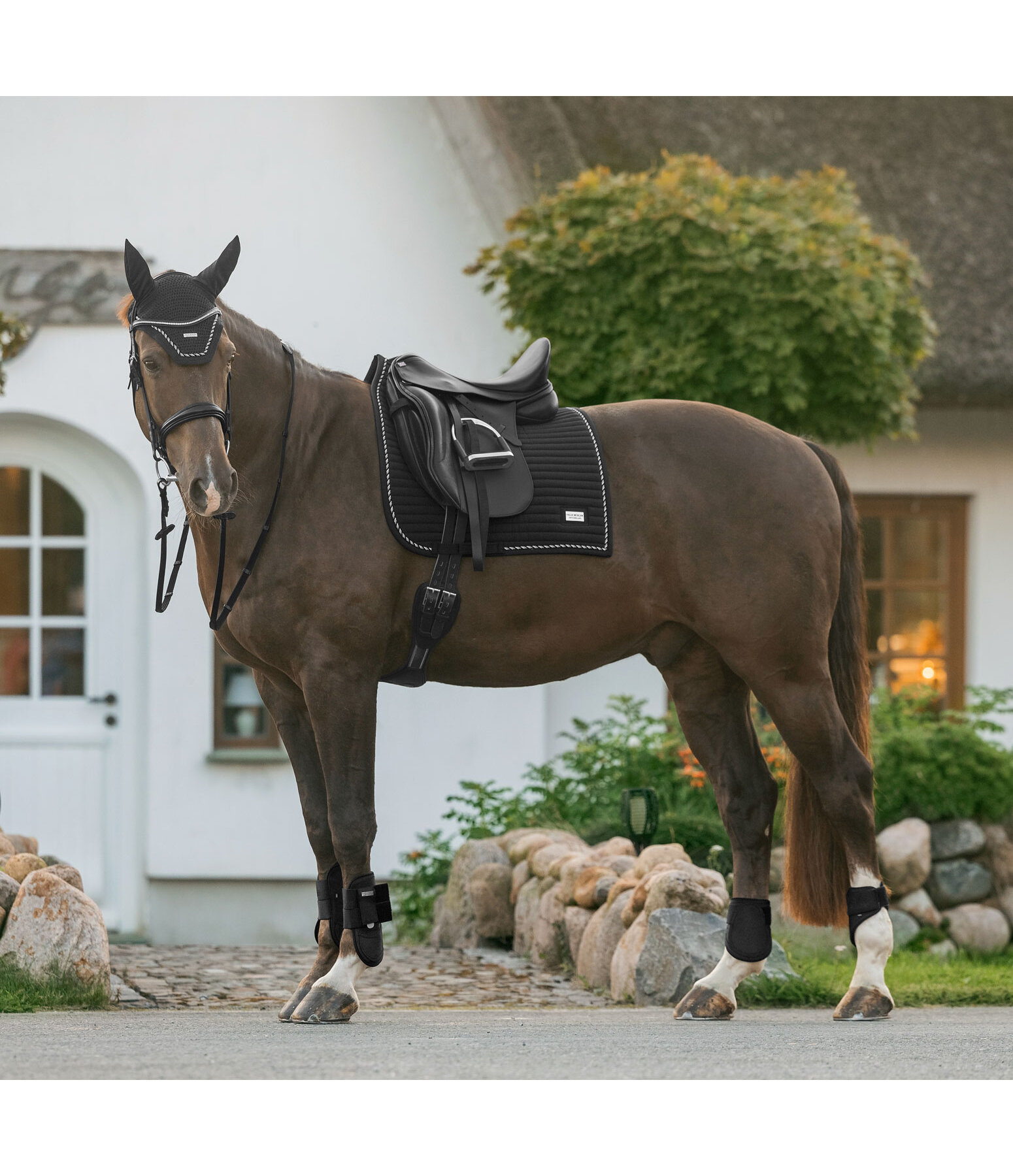 Tapis de selle  Sophistication avec contre-sanglons