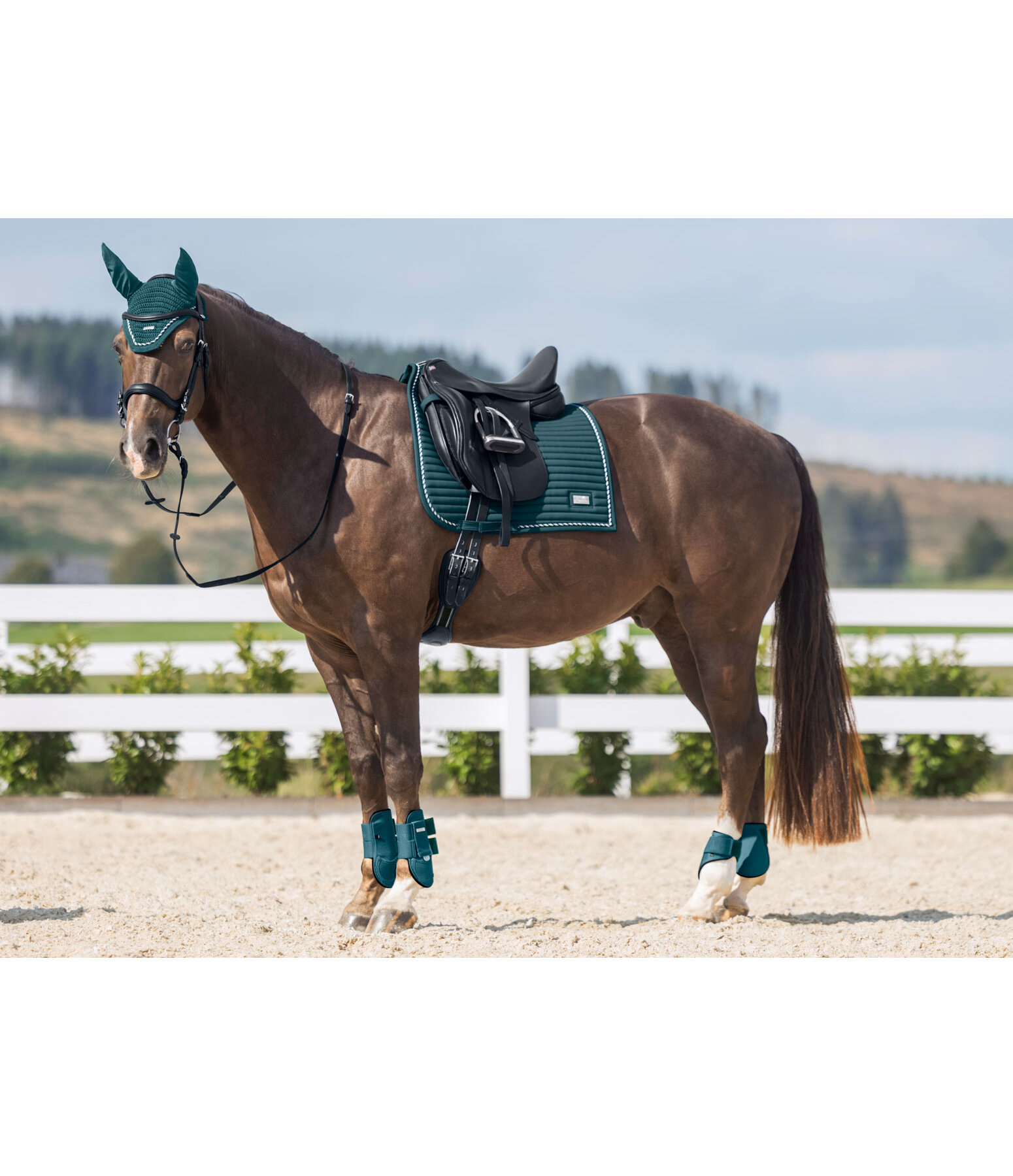 Tapis de selle  Sophistication avec contre-sanglons