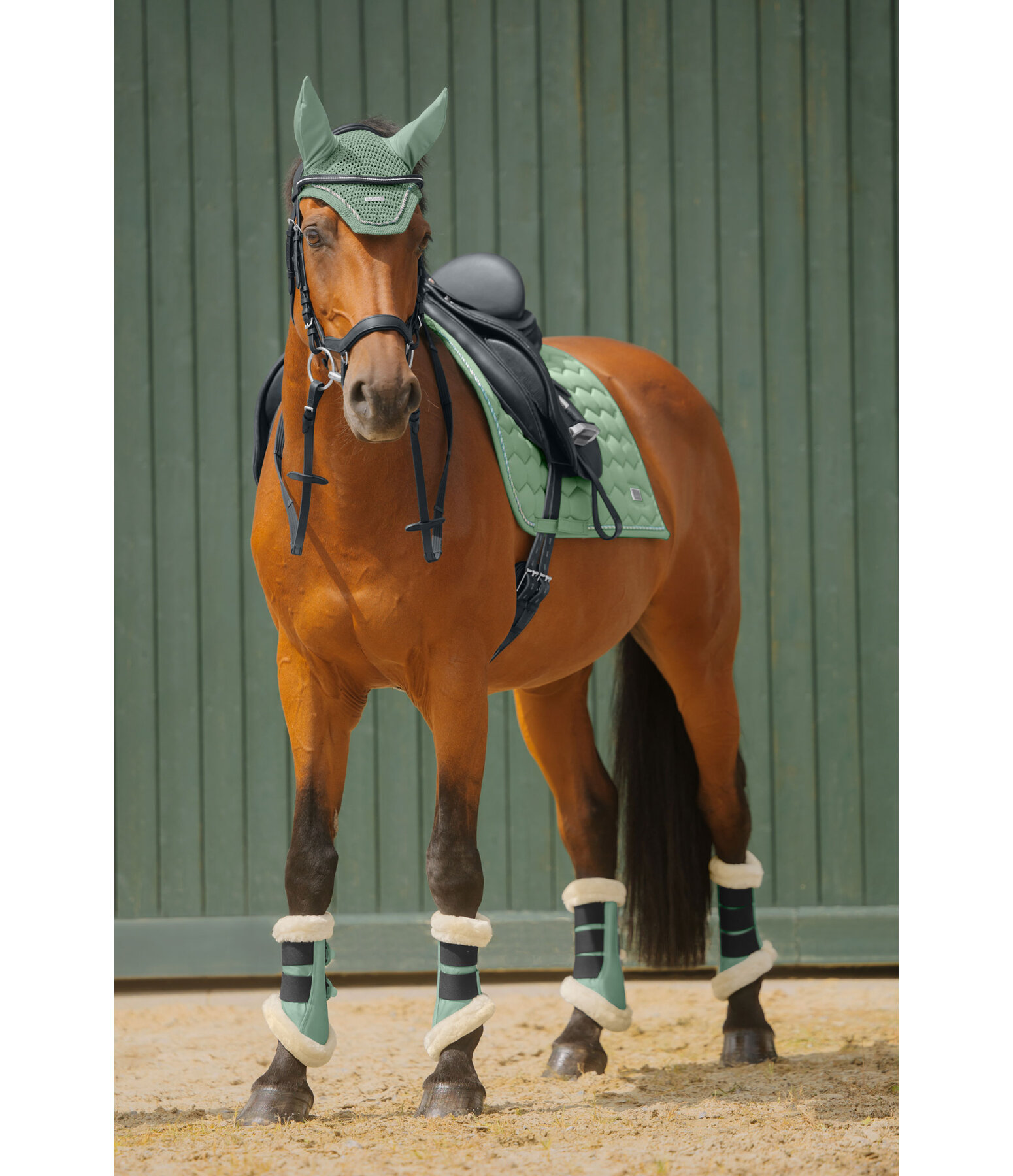 Tapis de selle  Sophistication sans contre-sanglons
