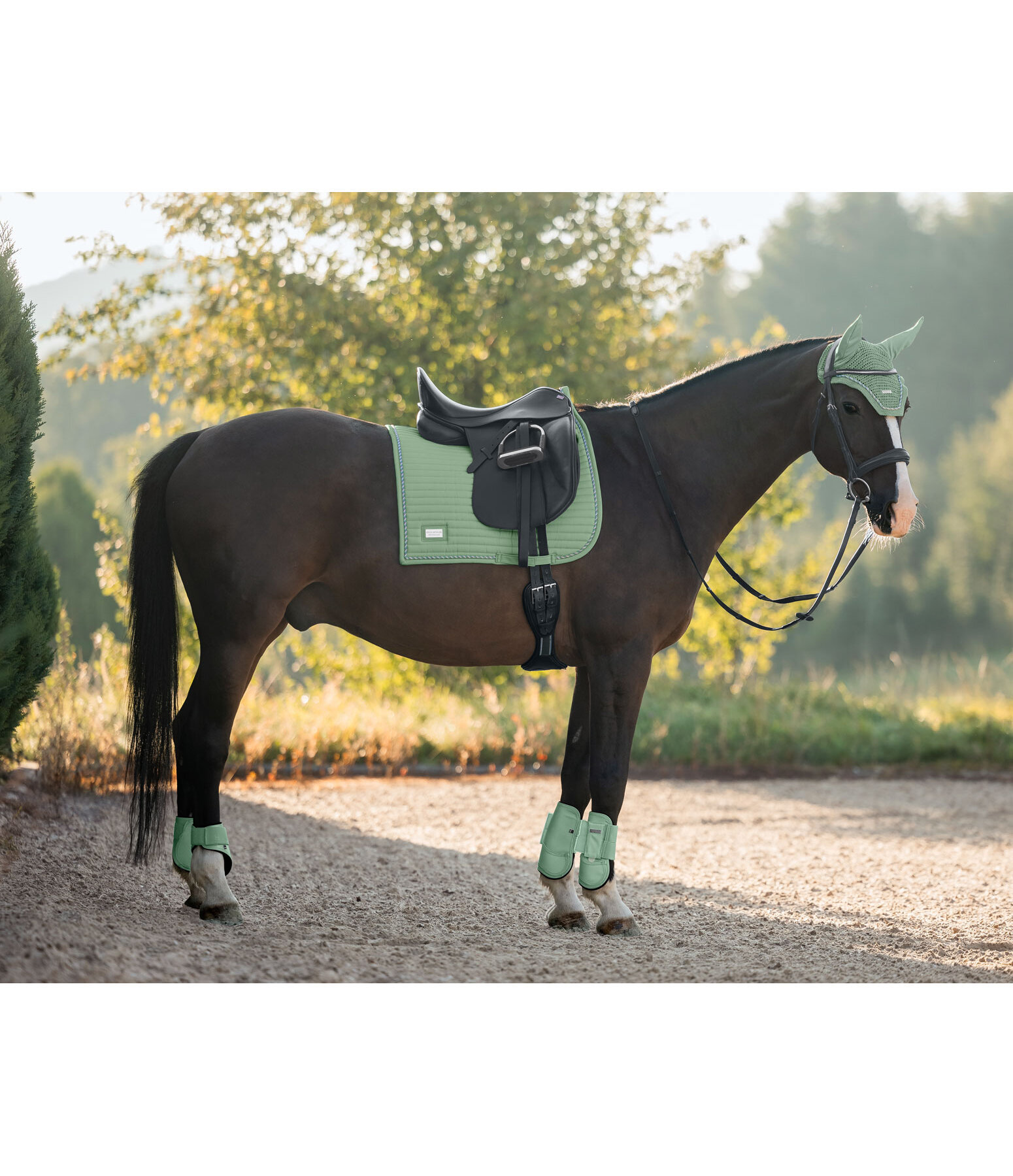 Tapis de selle  Sophistication sans contre-sanglons
