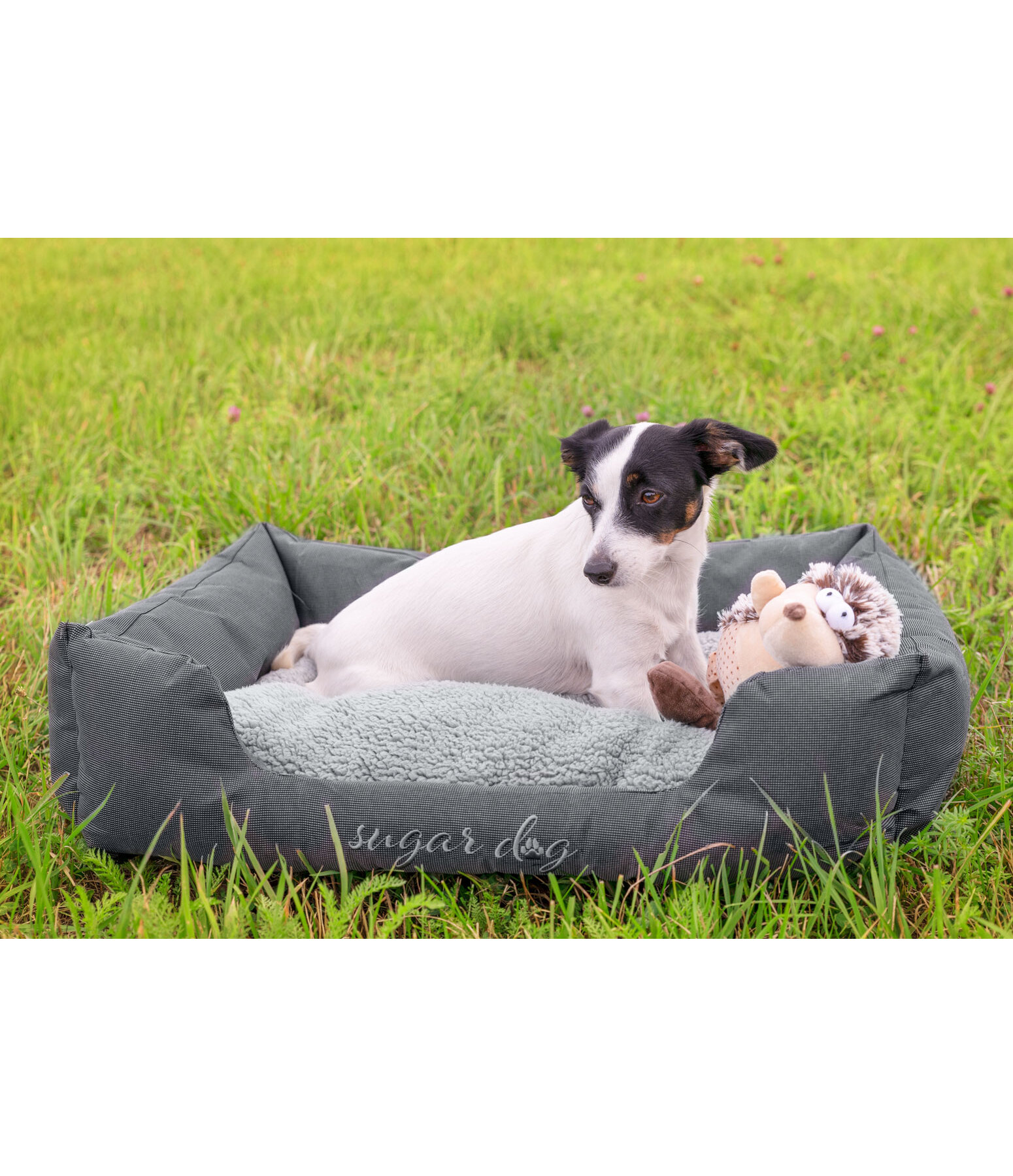 Panier pour chiens  Dreamy