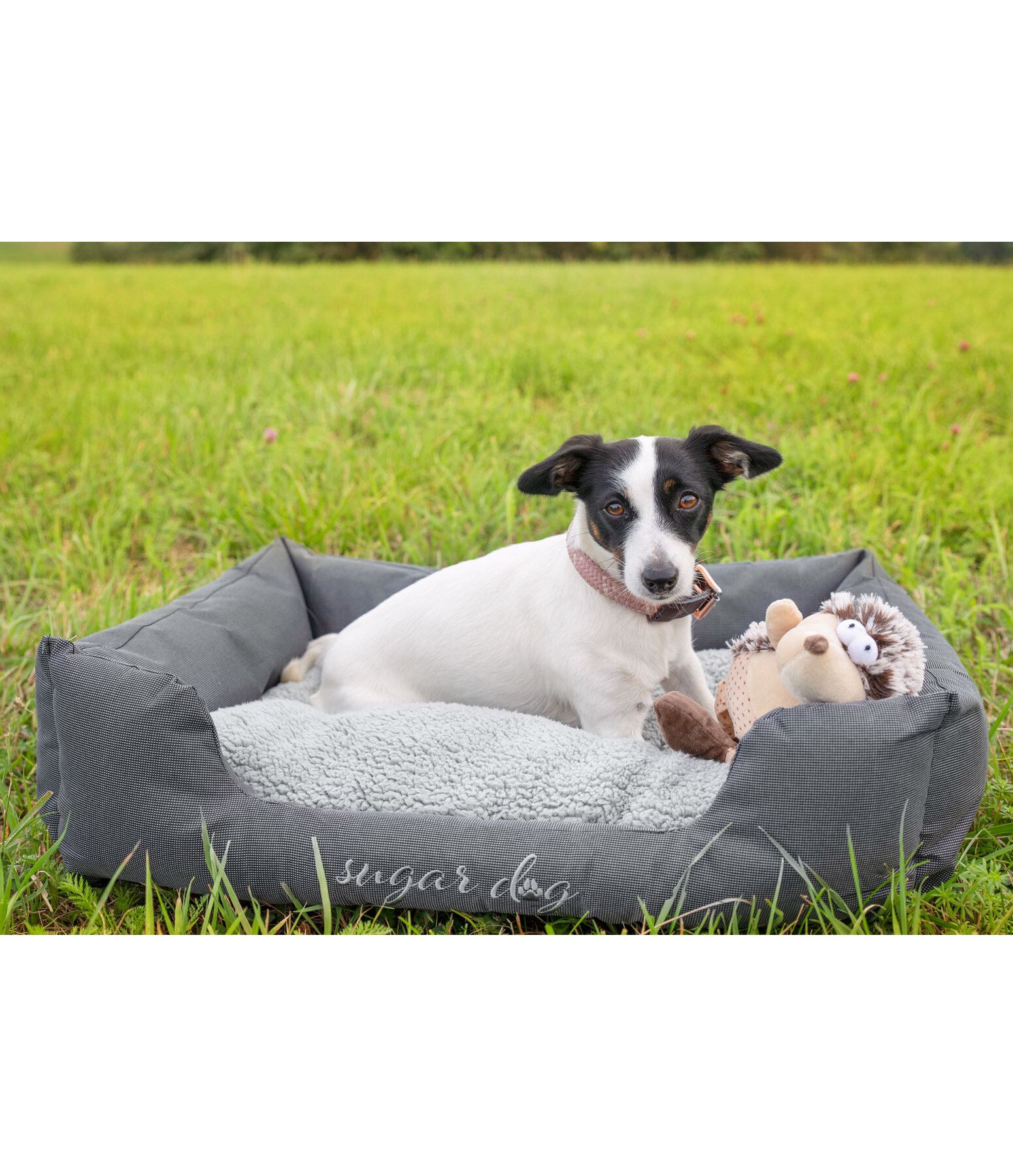 Panier pour chiens  Dreamy