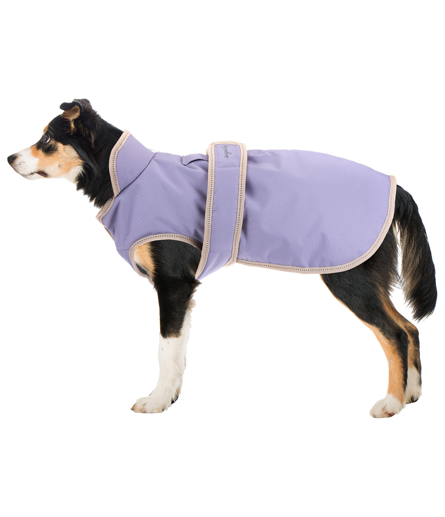 Manteau pour chiens avec doublure polaire  Eddie 200 g