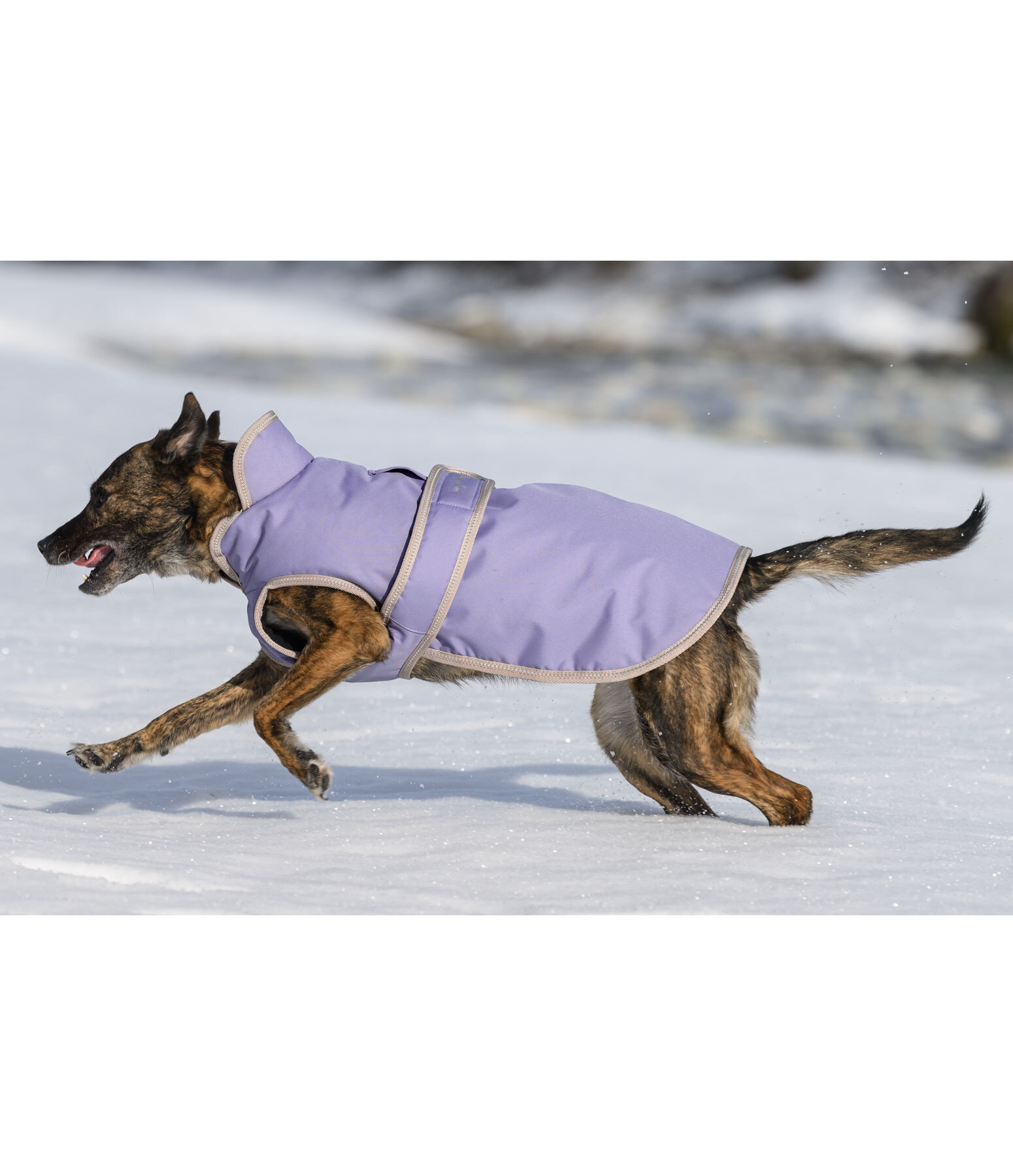 Manteau pour chiens avec doublure polaire  Eddie 200 g