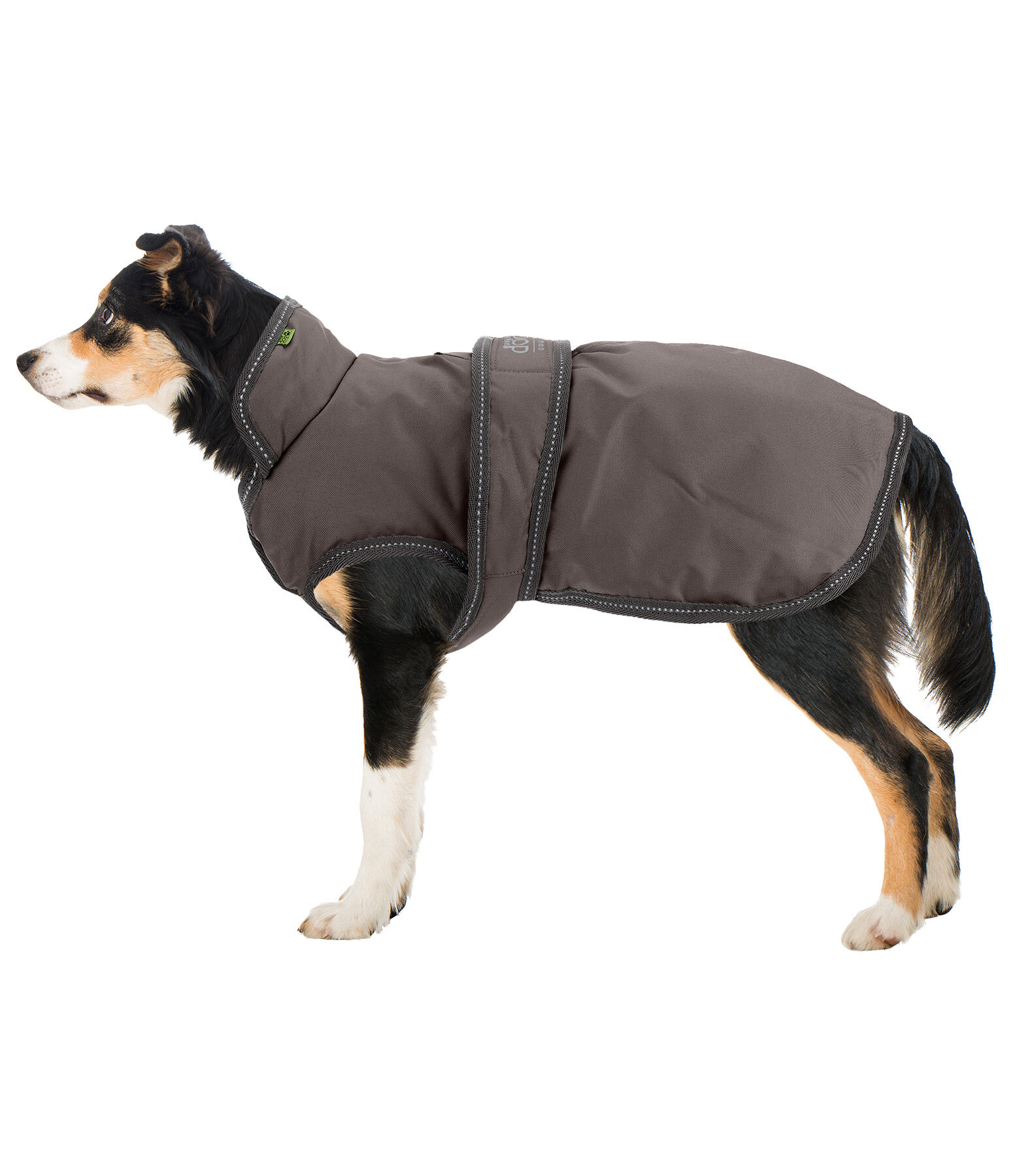 Manteau pour chiens avec doublure polaire  Eddie 200 g