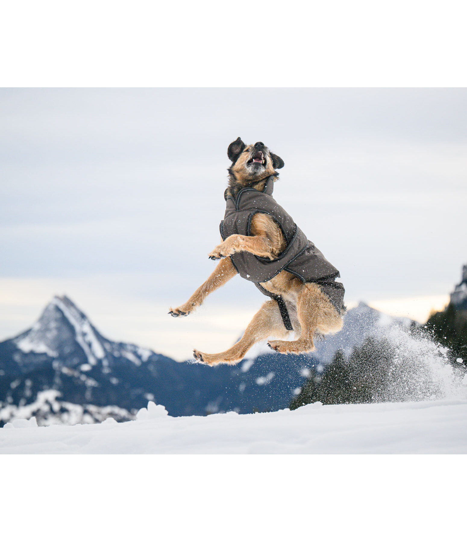 Manteau pour chiens avec doublure polaire  Eddie 200 g