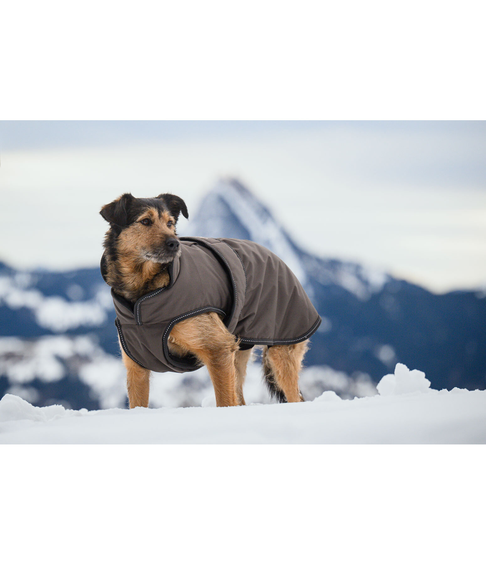 Manteau pour chiens avec doublure polaire  Eddie 200 g