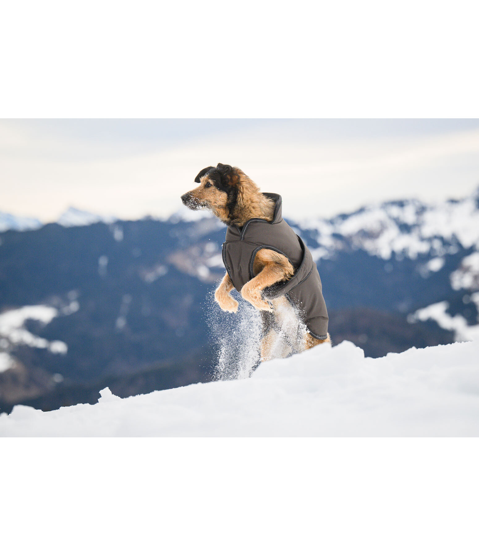 Manteau pour chiens avec doublure polaire  Eddie 200 g