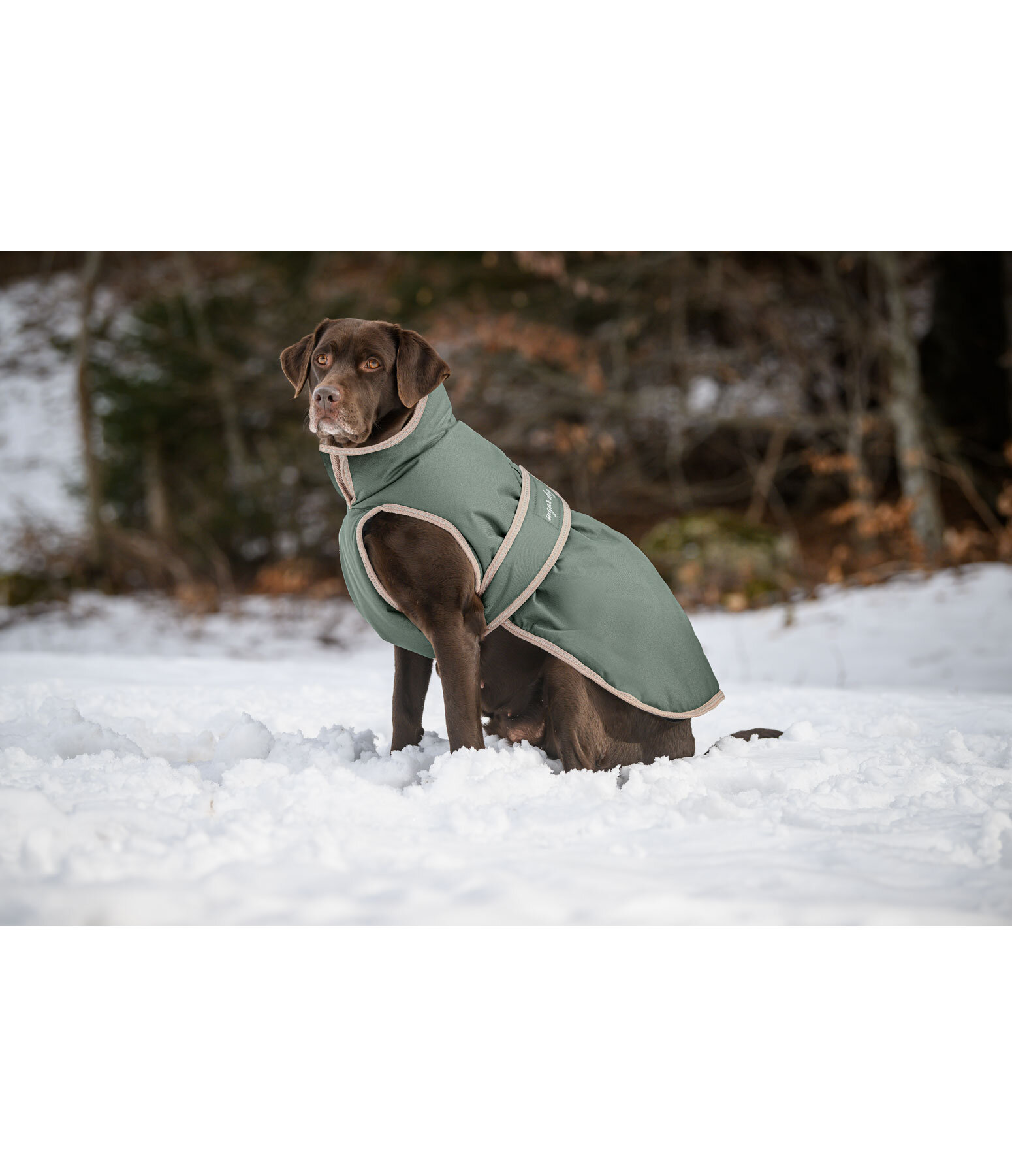 Manteau pour chiens avec doublure polaire  Eddie 200 g