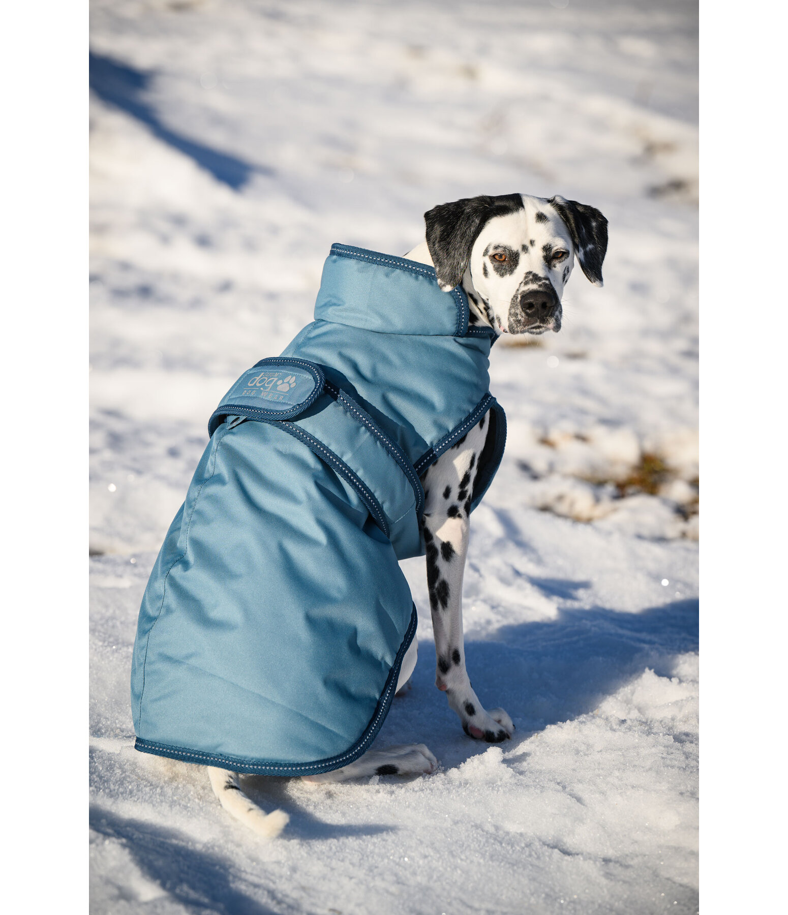 Manteau pour chiens avec doublure polaire  Eddie 200 g
