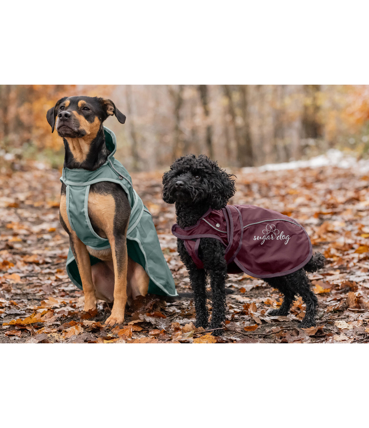 Manteau pour chien 2 en 1  Ally