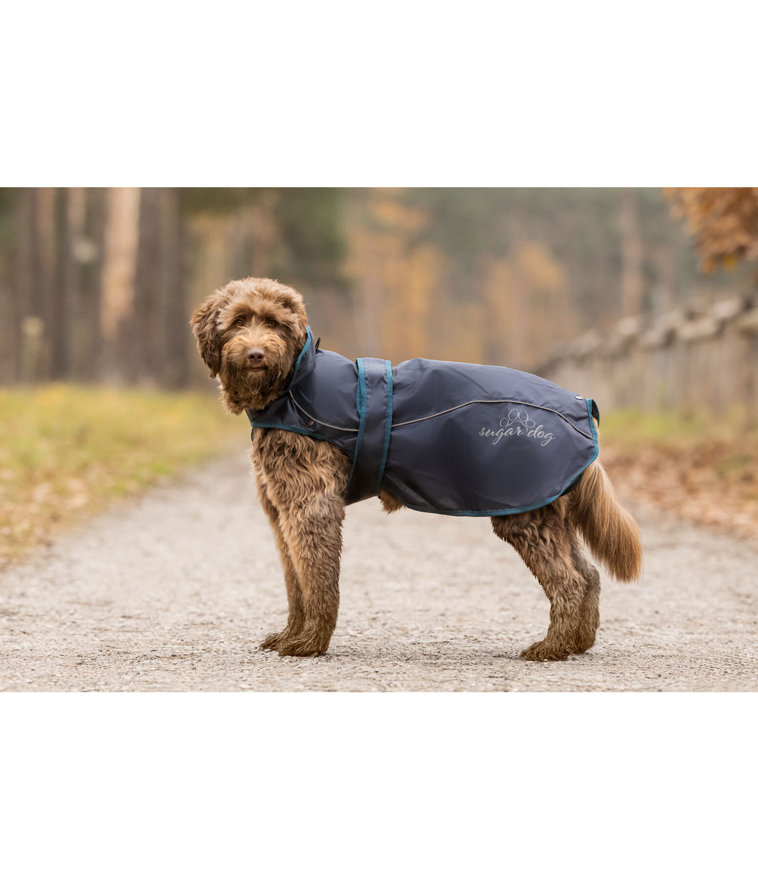 Manteau pour chien 2 en 1  Ally