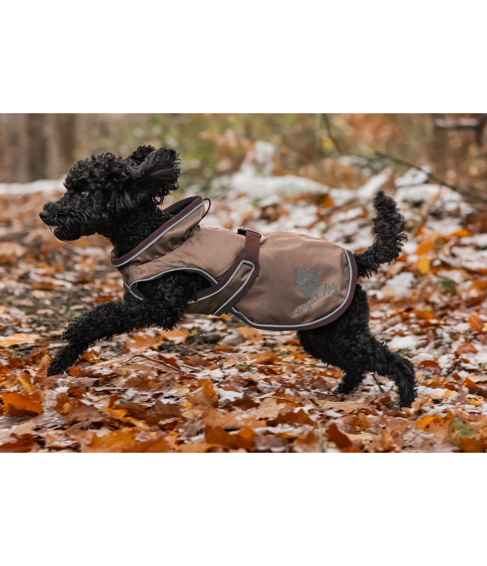 Manteau de pluie pour chiens  Eldoro II avec manteau intrieur polaire