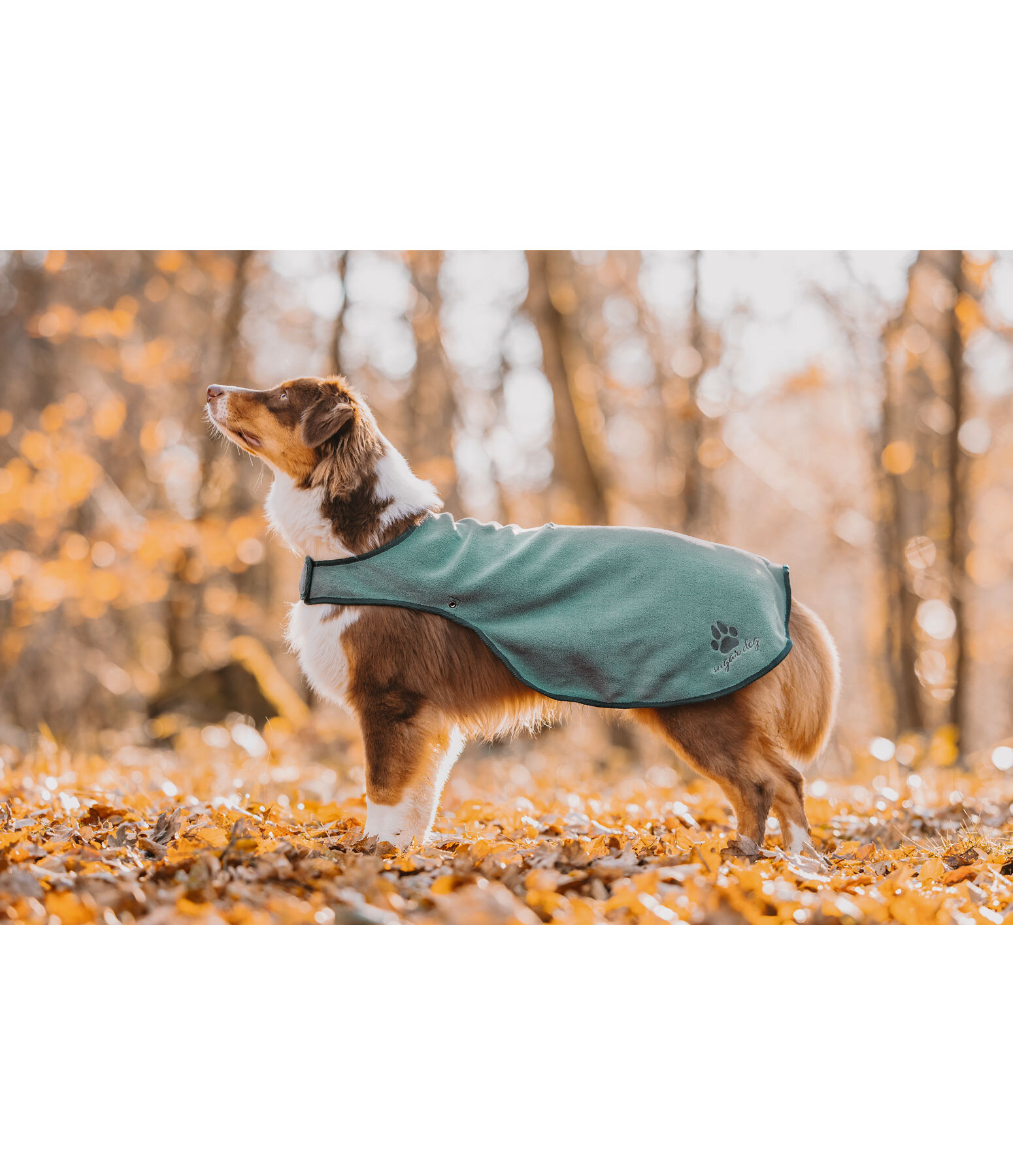 Manteau de pluie pour chiens  Eldoro II avec manteau intrieur polaire