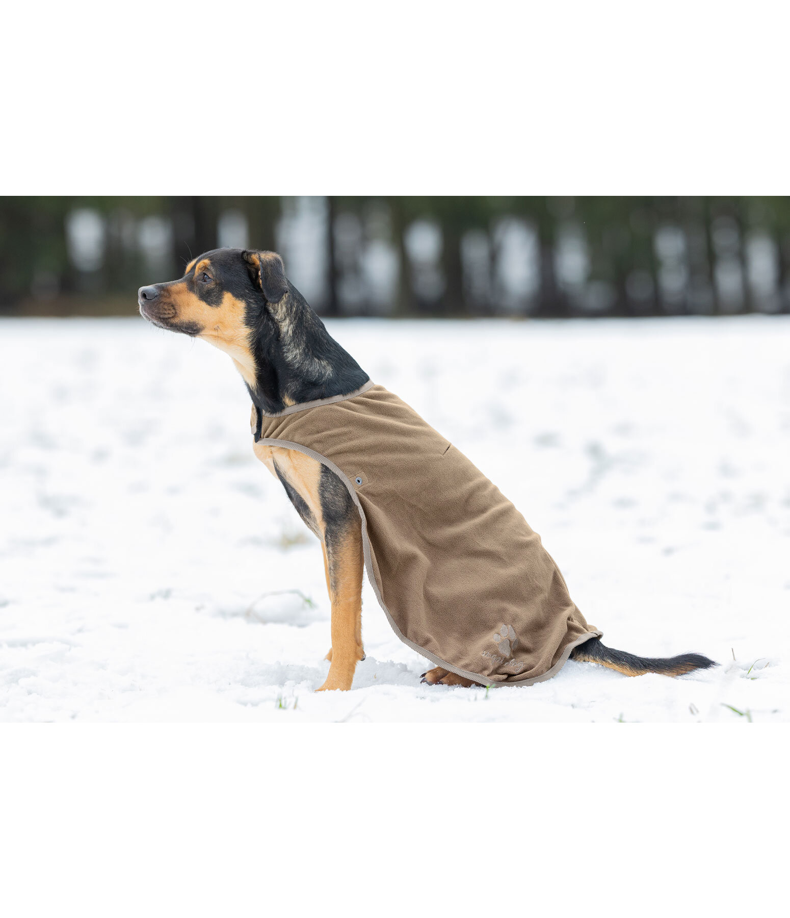 Manteau de pluie pour chiens  Eldoro II avec manteau intérieur polaire