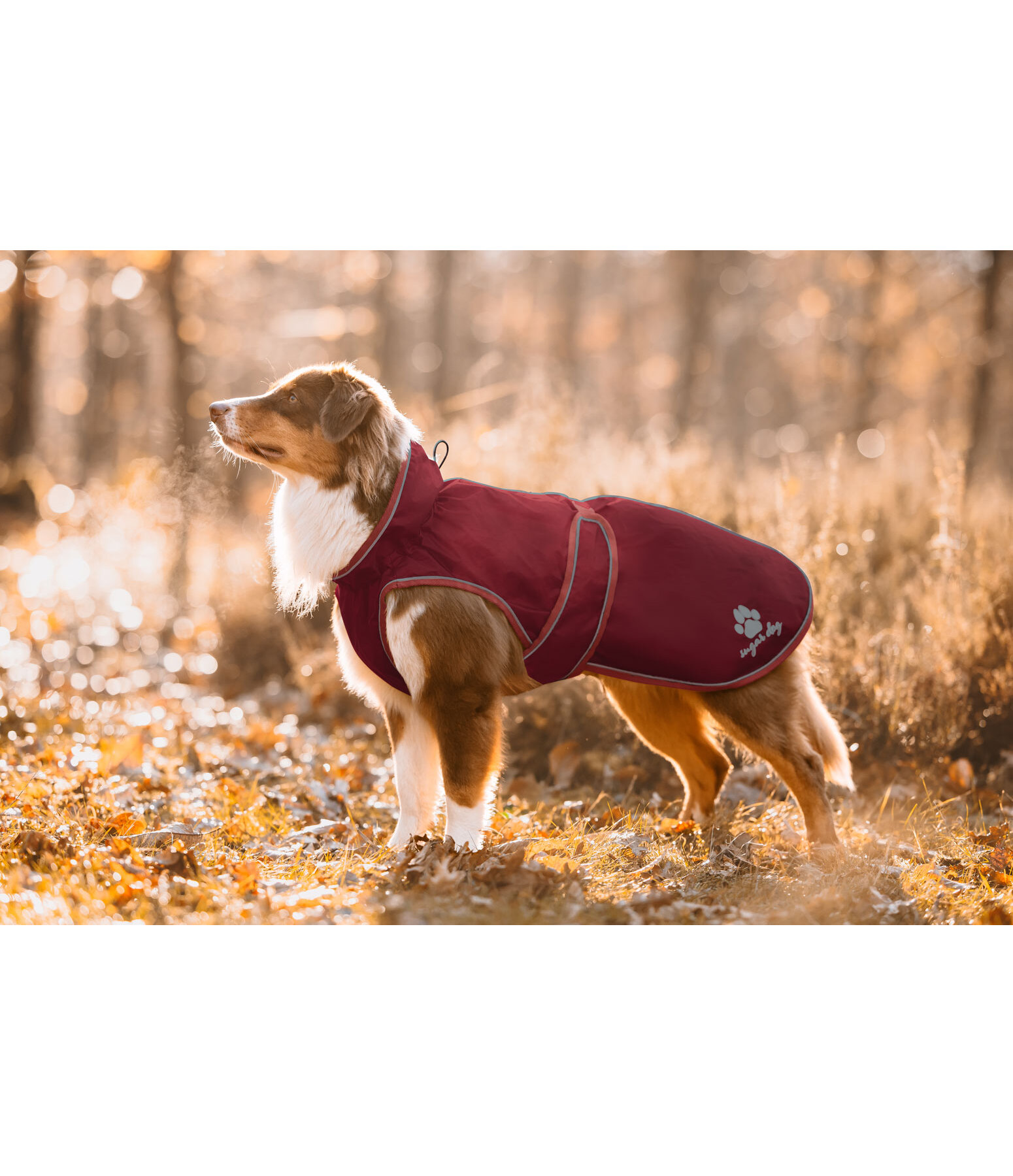 Manteau de pluie pour chiens  Eldoro II avec manteau intrieur polaire