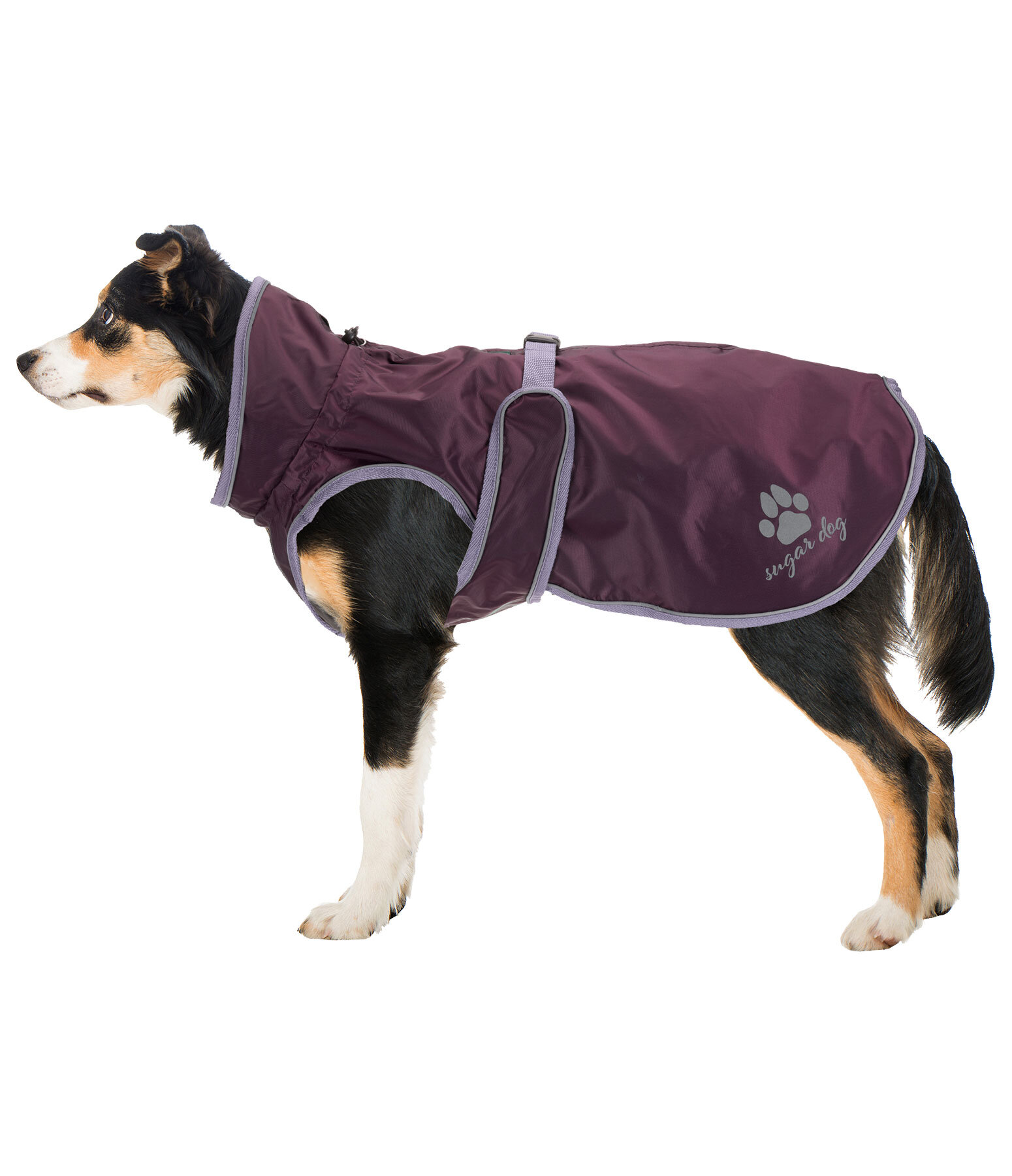 Manteau de pluie pour chiens  Eldoro II avec manteau intrieur polaire