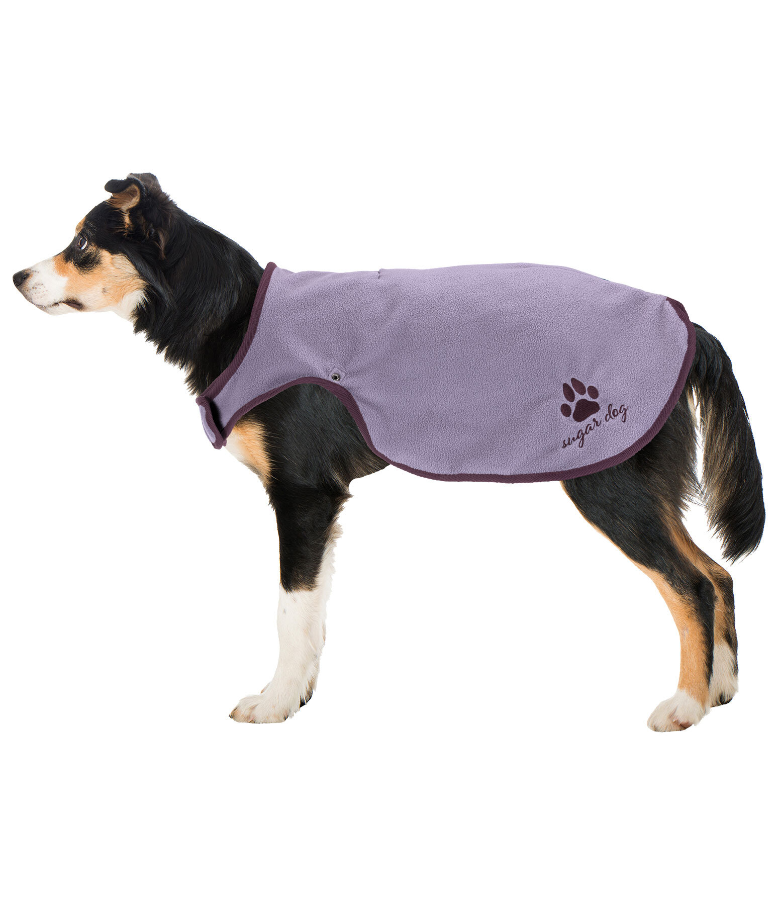 Manteau de pluie pour chiens  Eldoro II avec manteau intrieur polaire