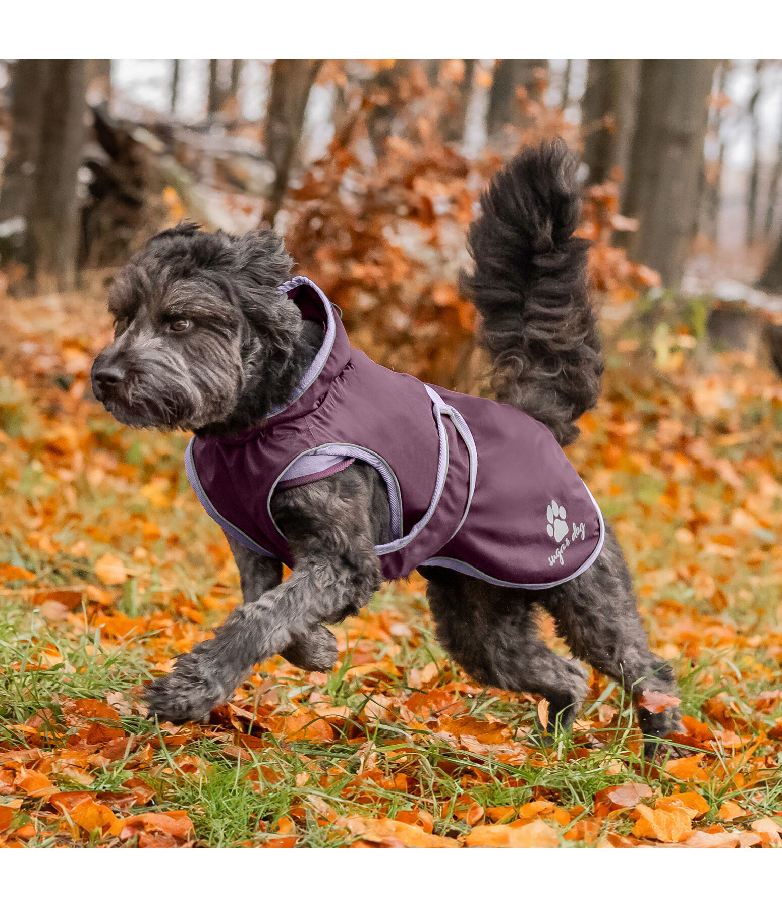 Manteau de pluie pour chiens  Eldoro II avec manteau intrieur polaire