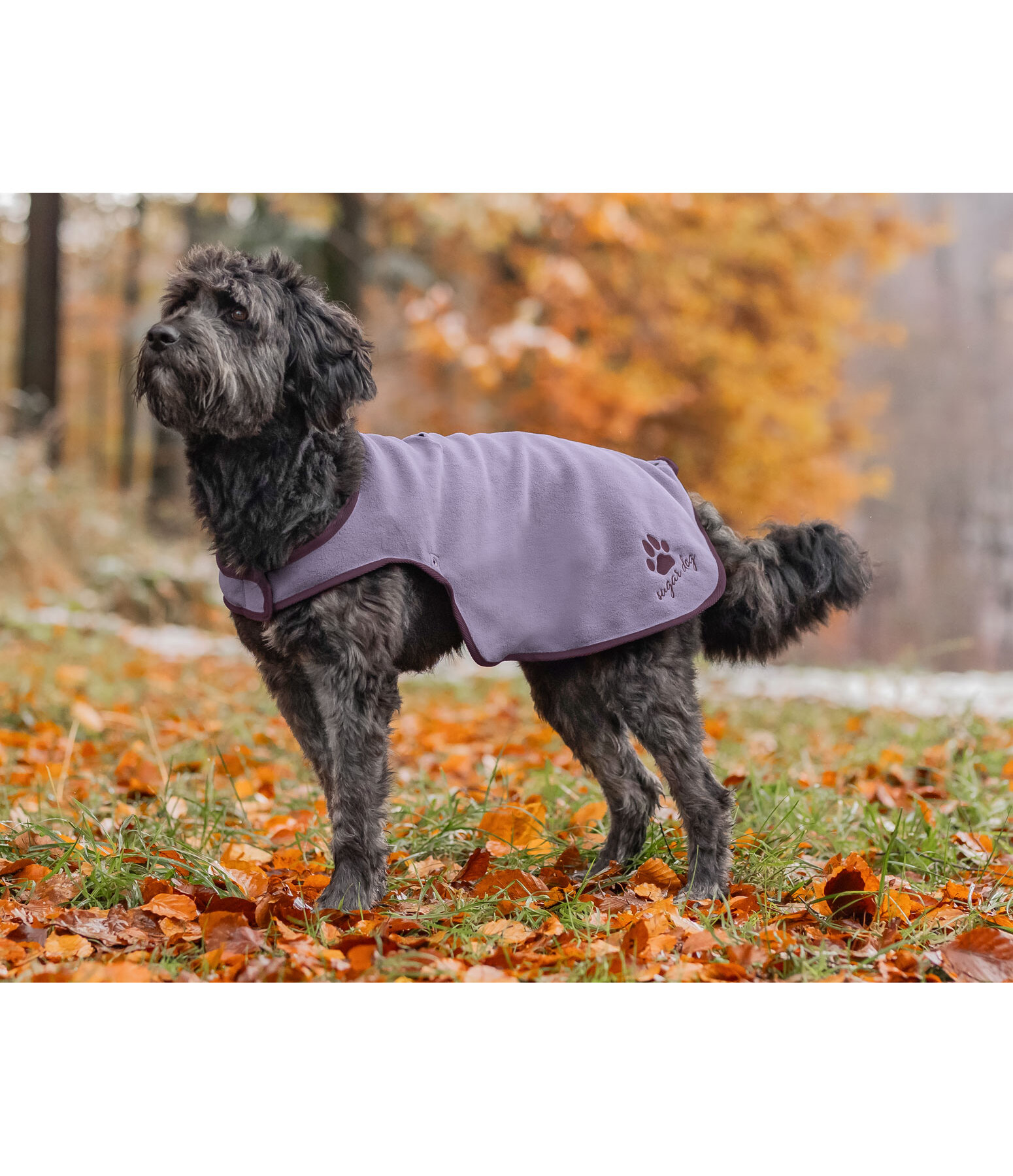 Manteau de pluie pour chiens  Eldoro II avec manteau intrieur polaire