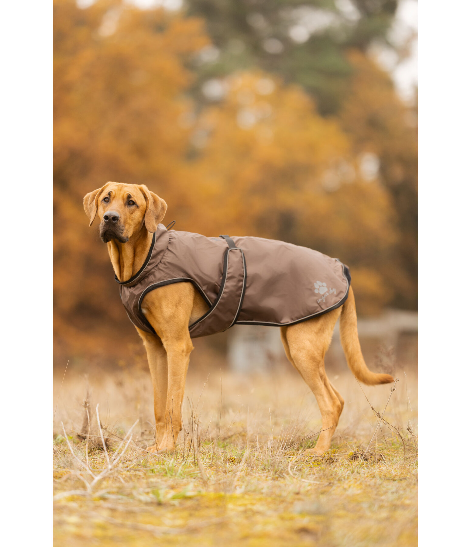 Manteau de pluie pour chiens  Eldoro II avec manteau int�rieur polaire